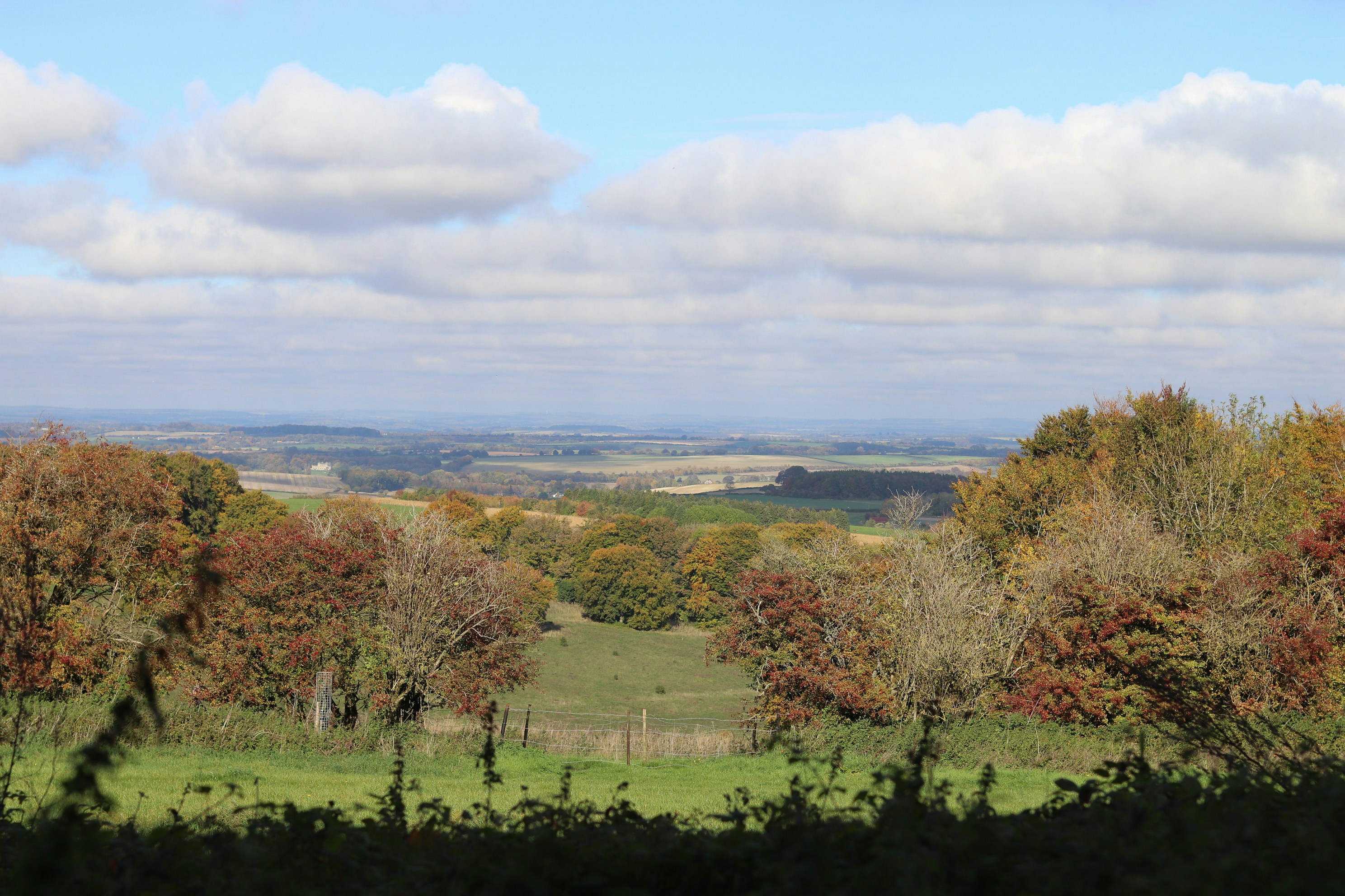 Photo by tanyabarrow