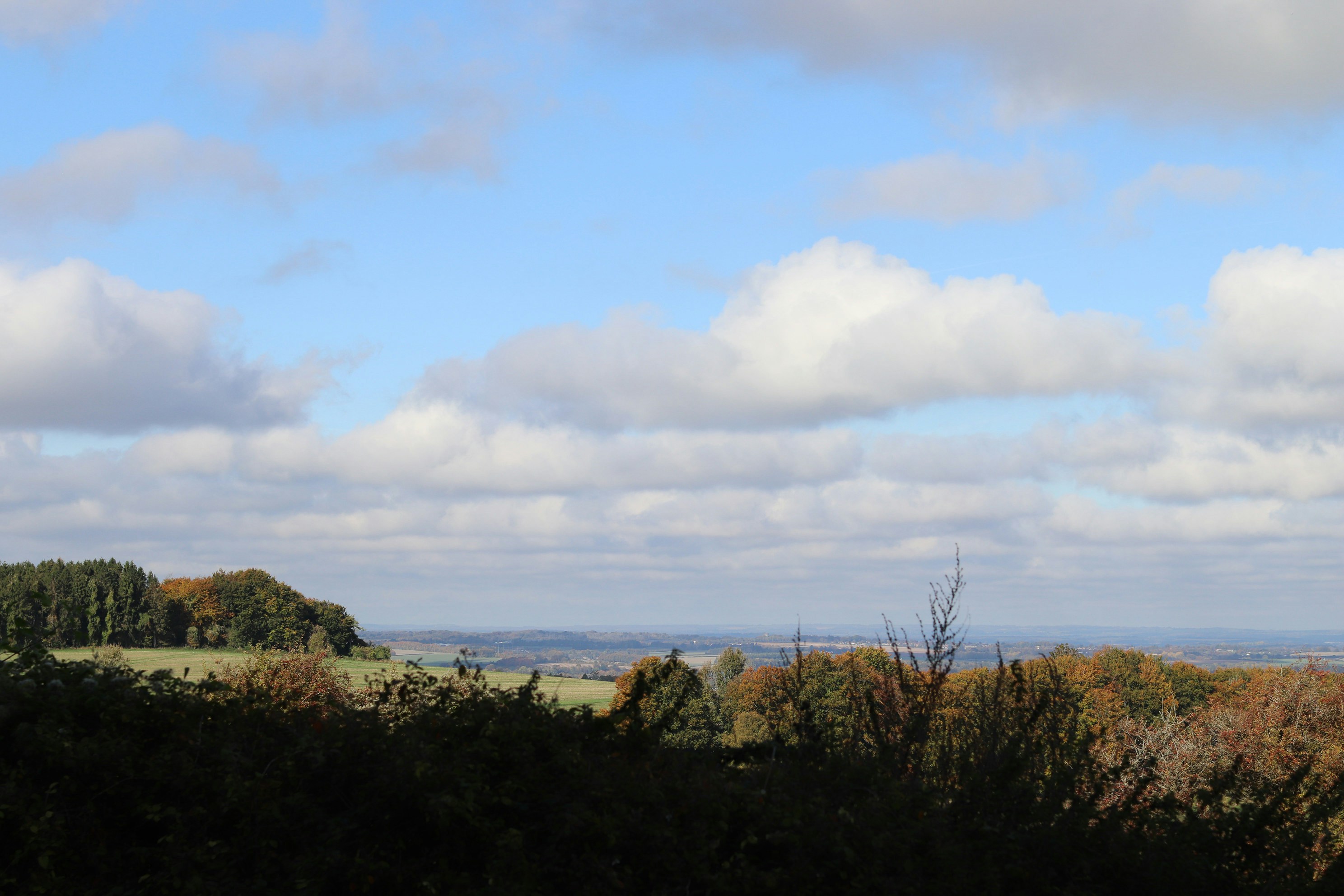 Photo by tanyabarrow