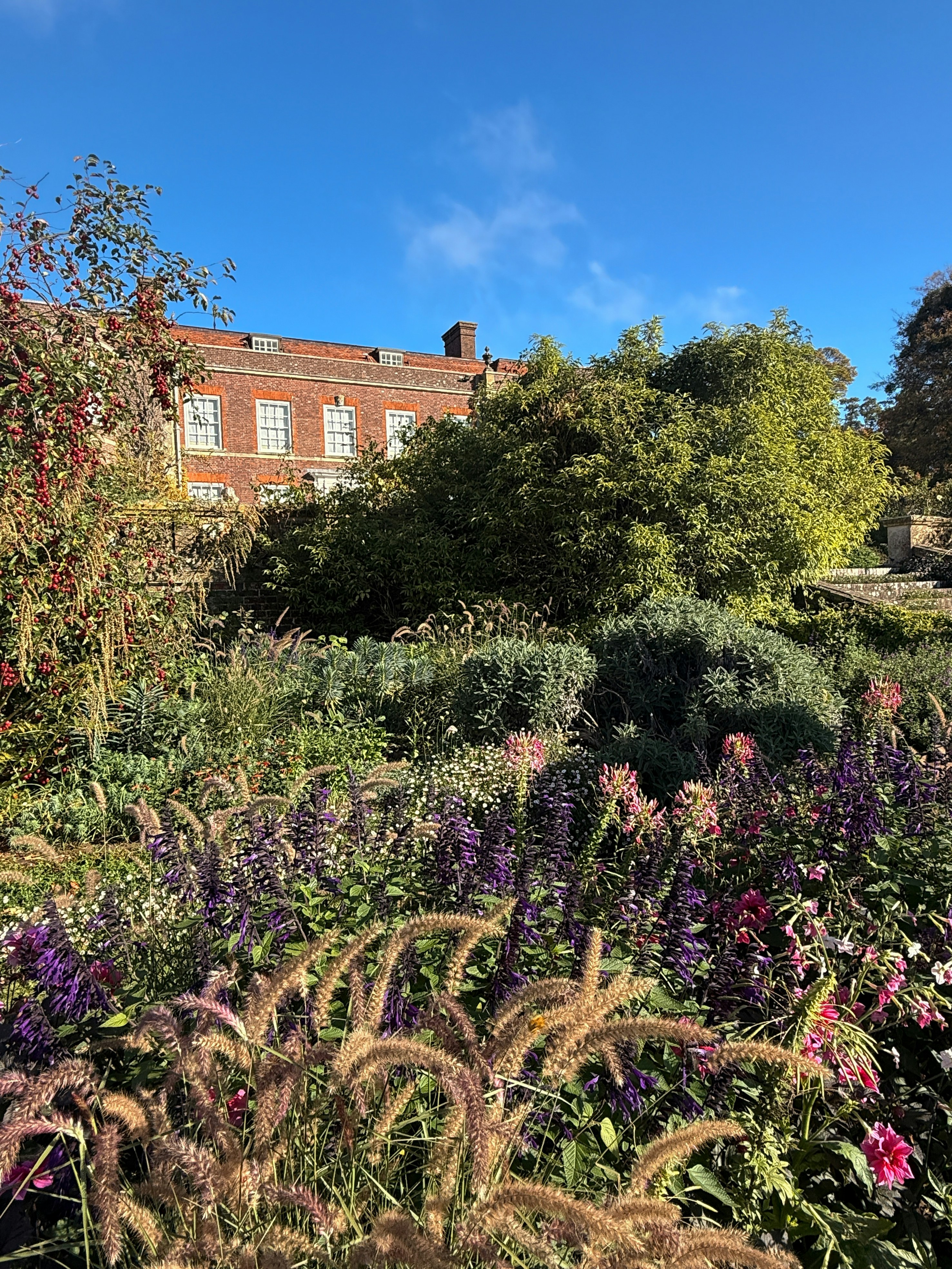 Photo by tanyabarrow