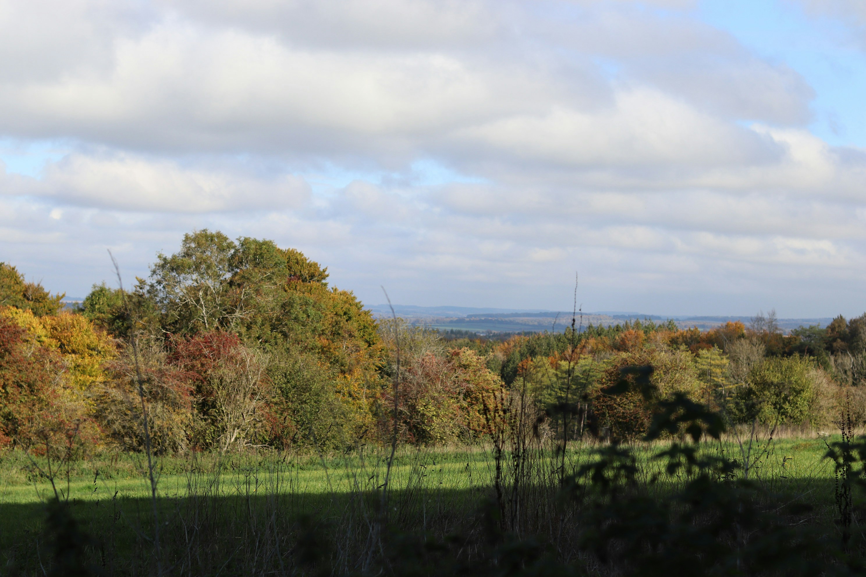 Photo by tanyabarrow