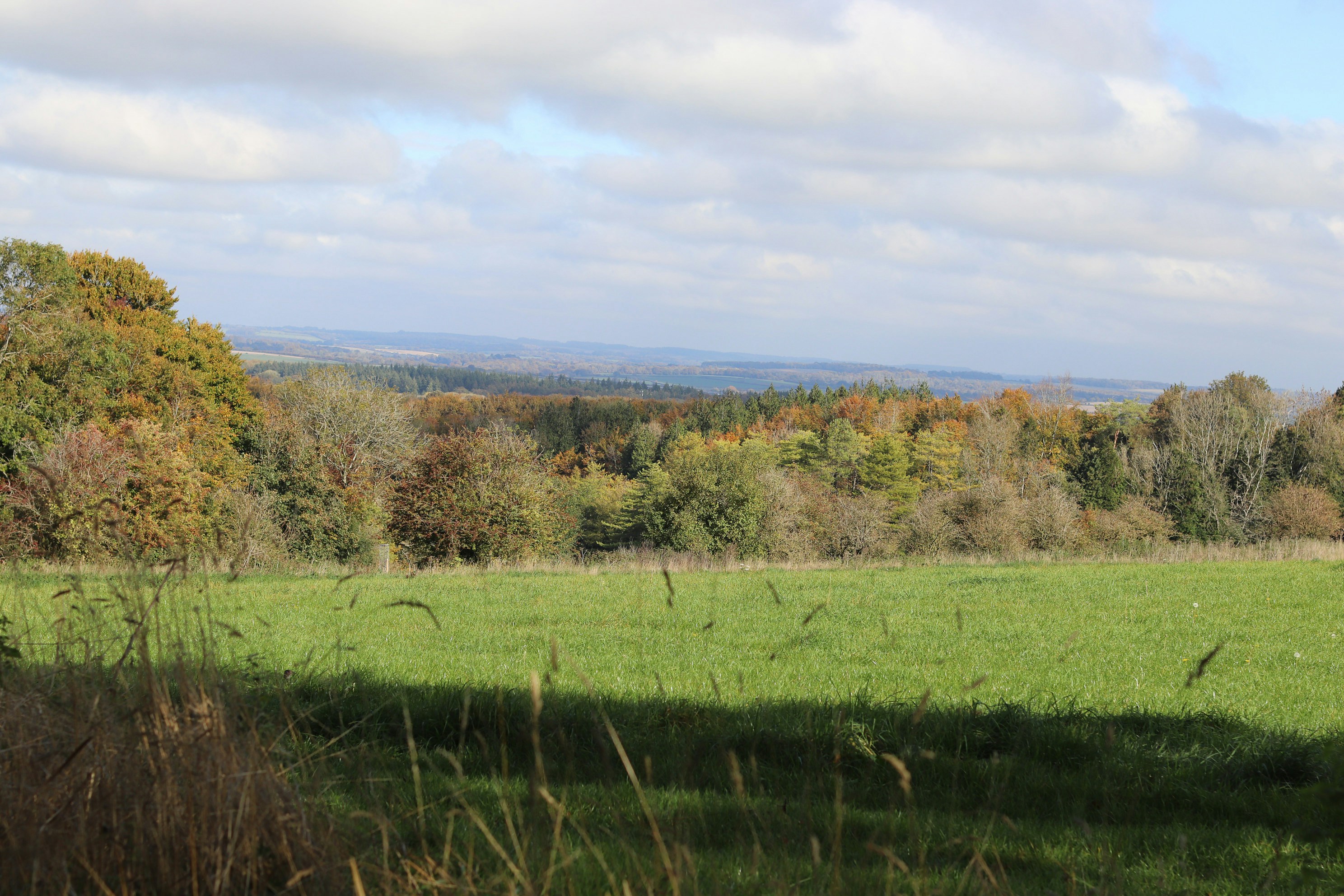 Photo by tanyabarrow