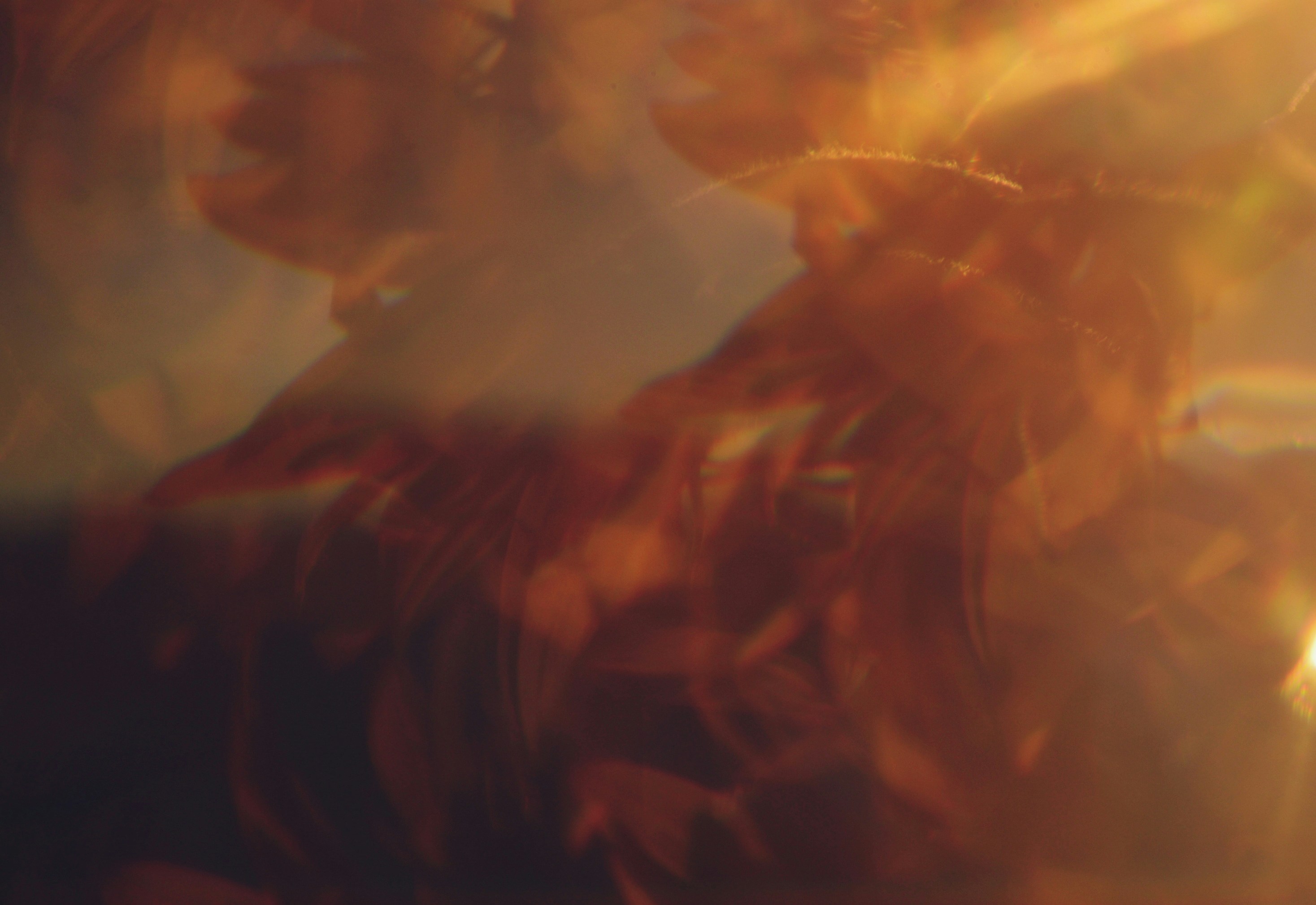 Photo by cherstve_pechivo