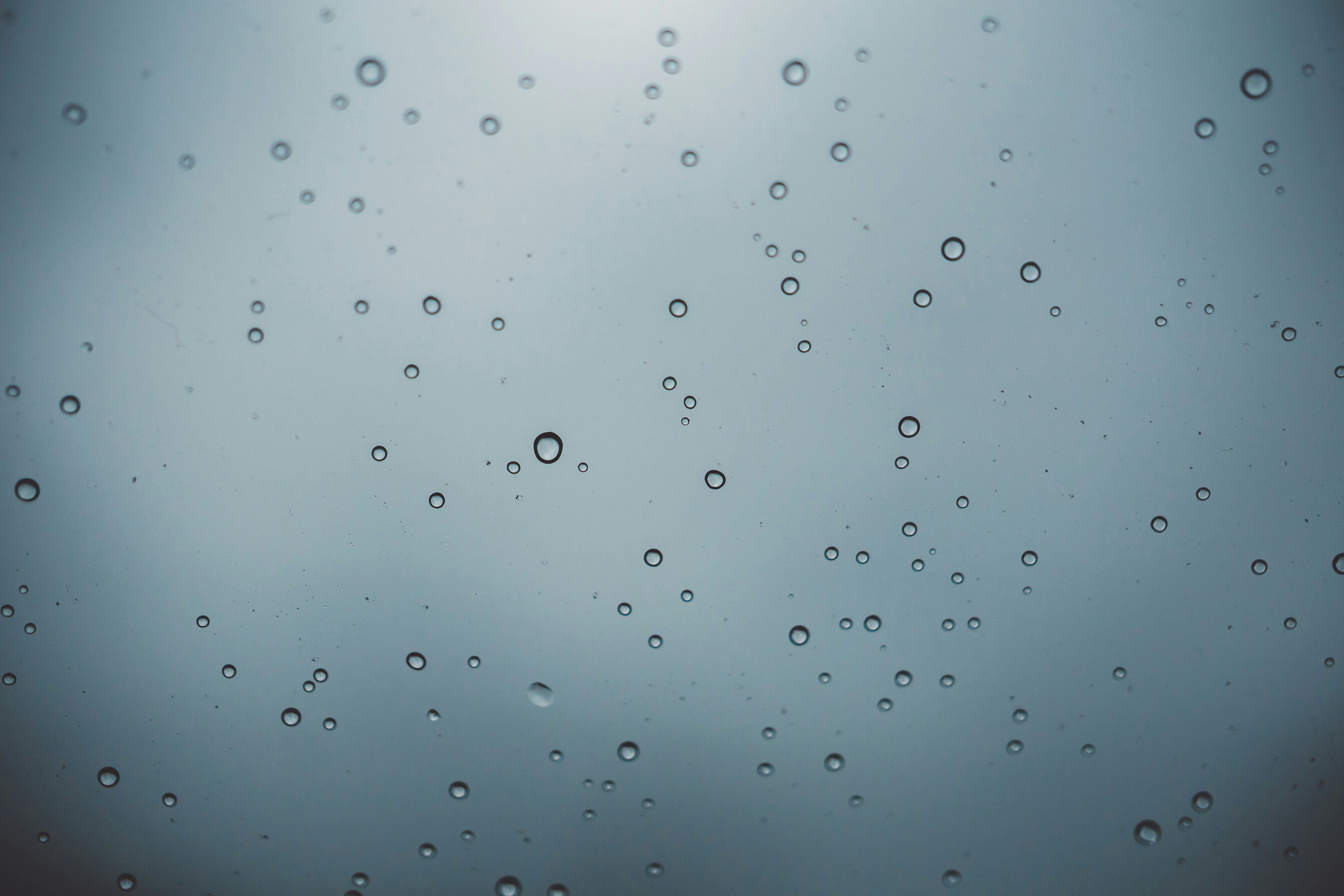 Photo by taiga_miyamoto