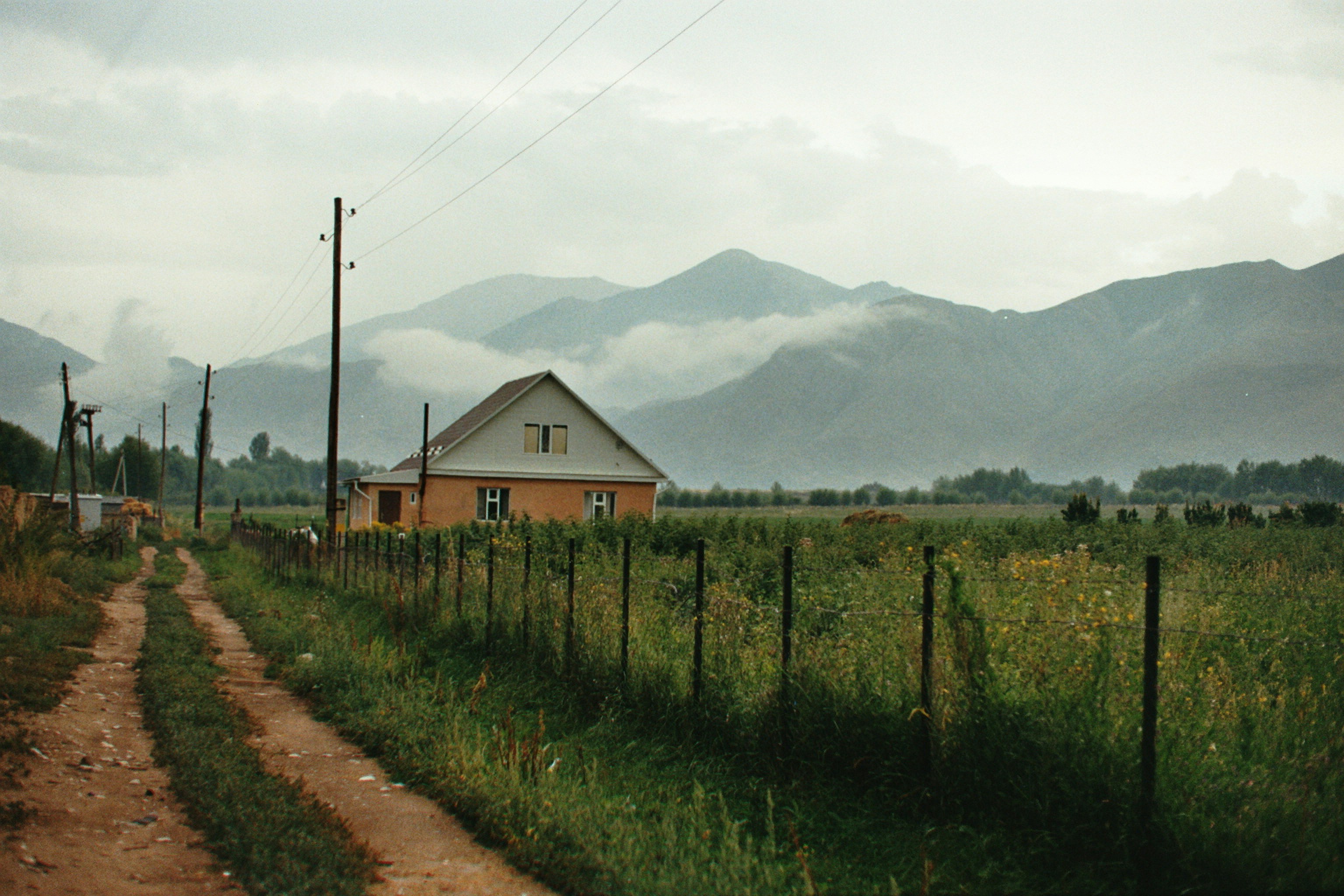 Photo by alle_sacchi