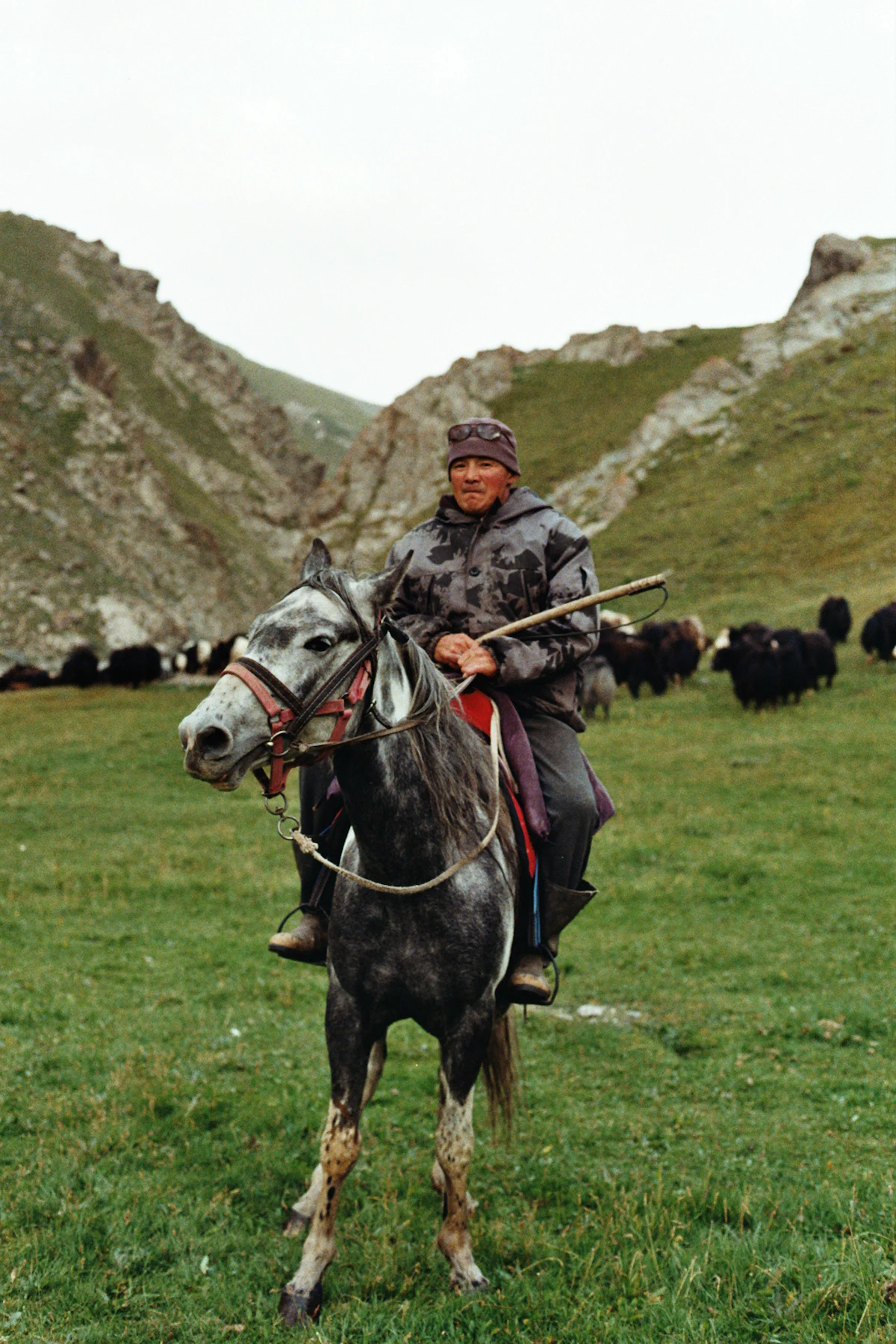 Song-Kul pasture landscape