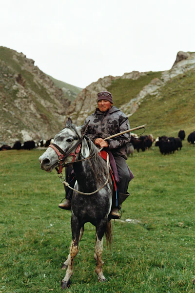 Song-Kul pasture landscape