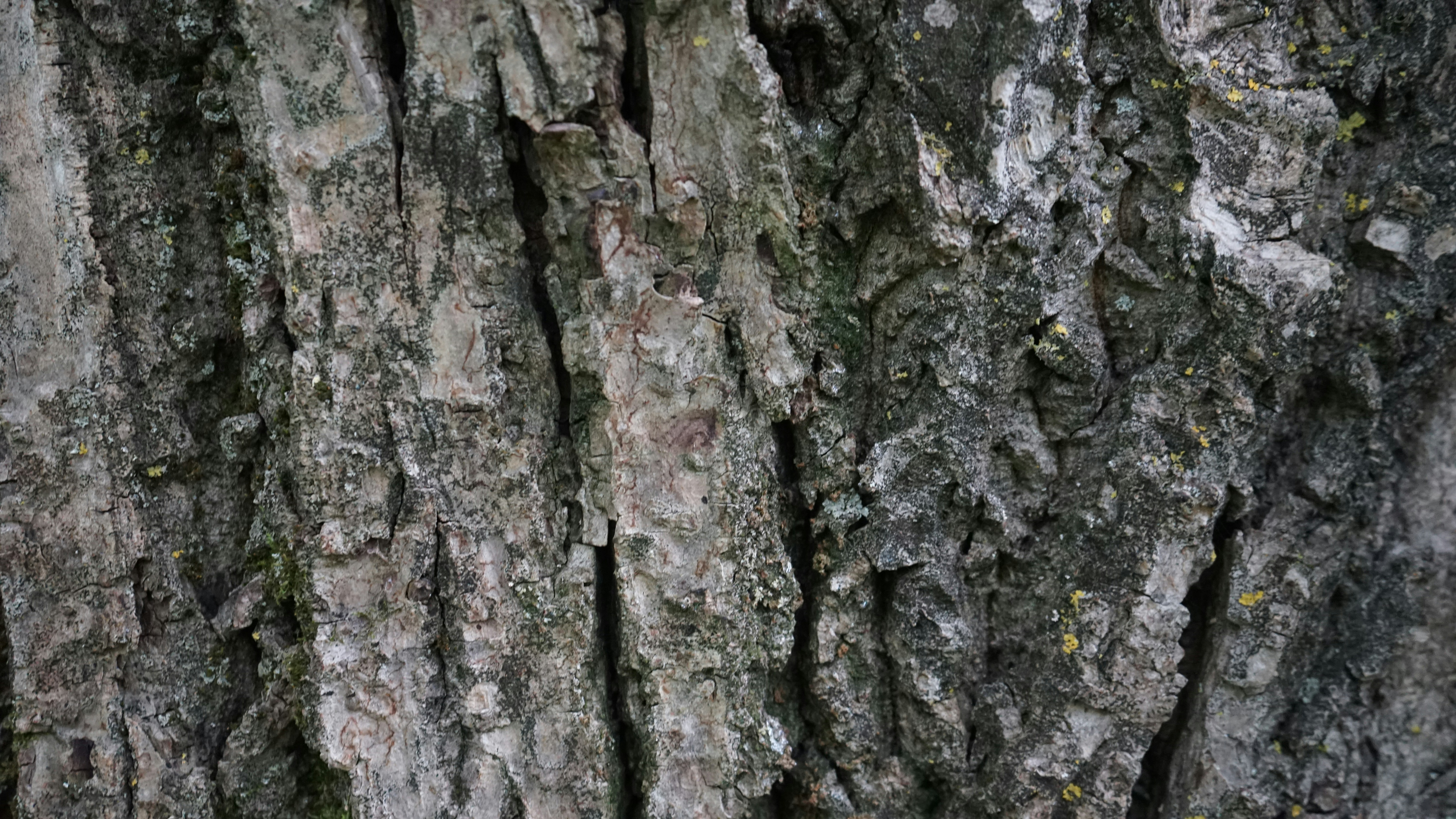 Photo by danielschild