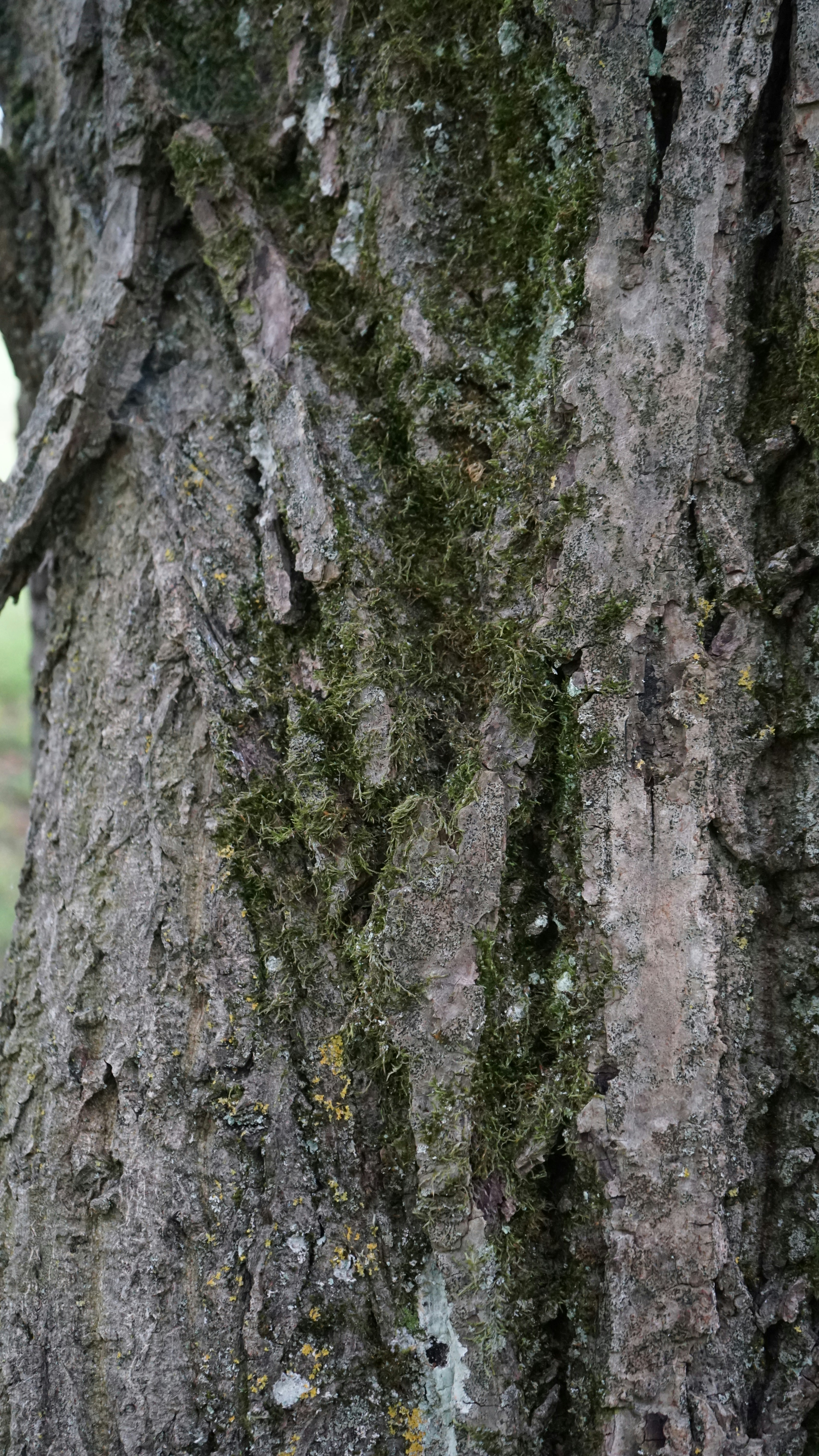 Photo by danielschild