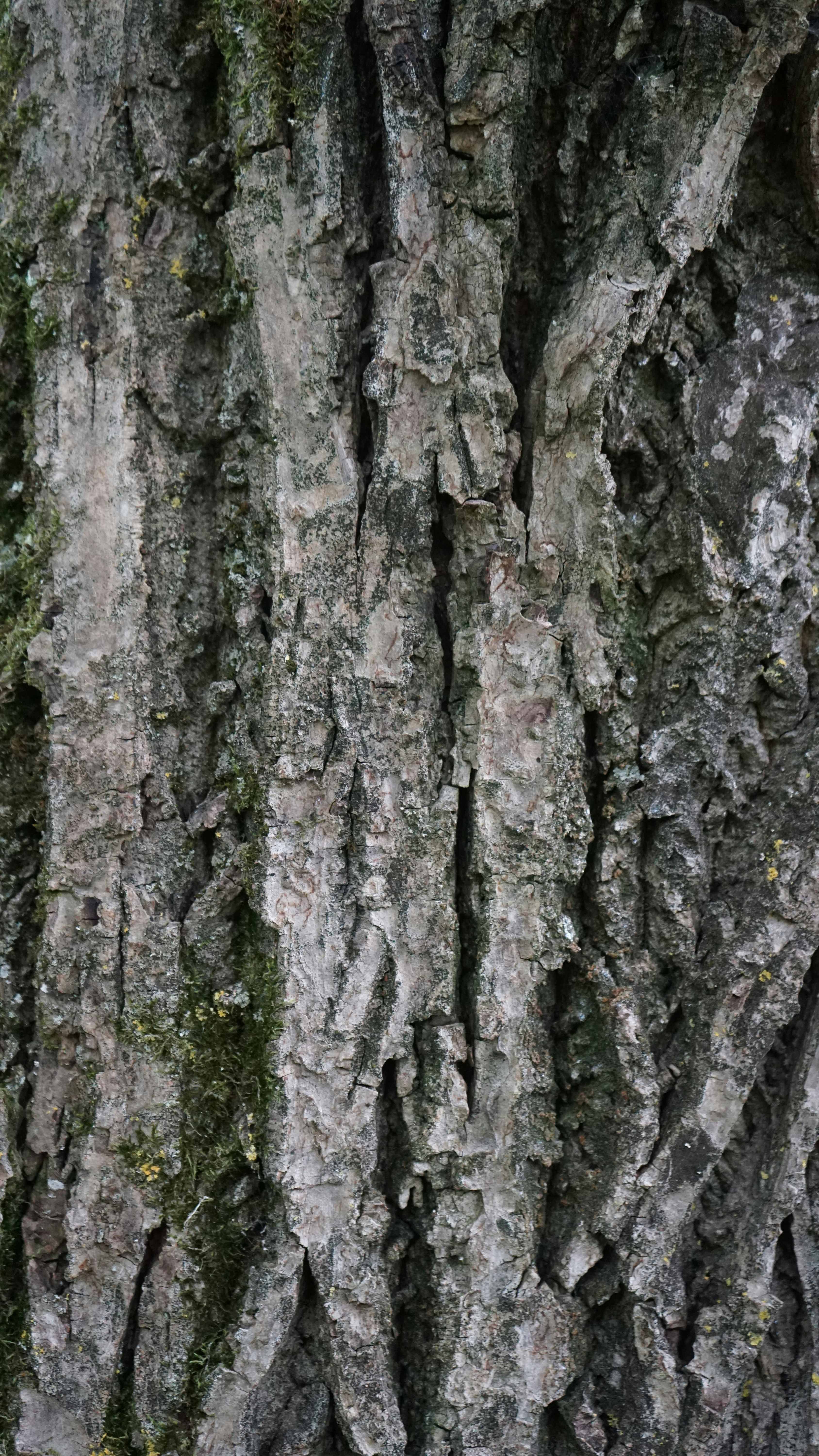 Photo by danielschild