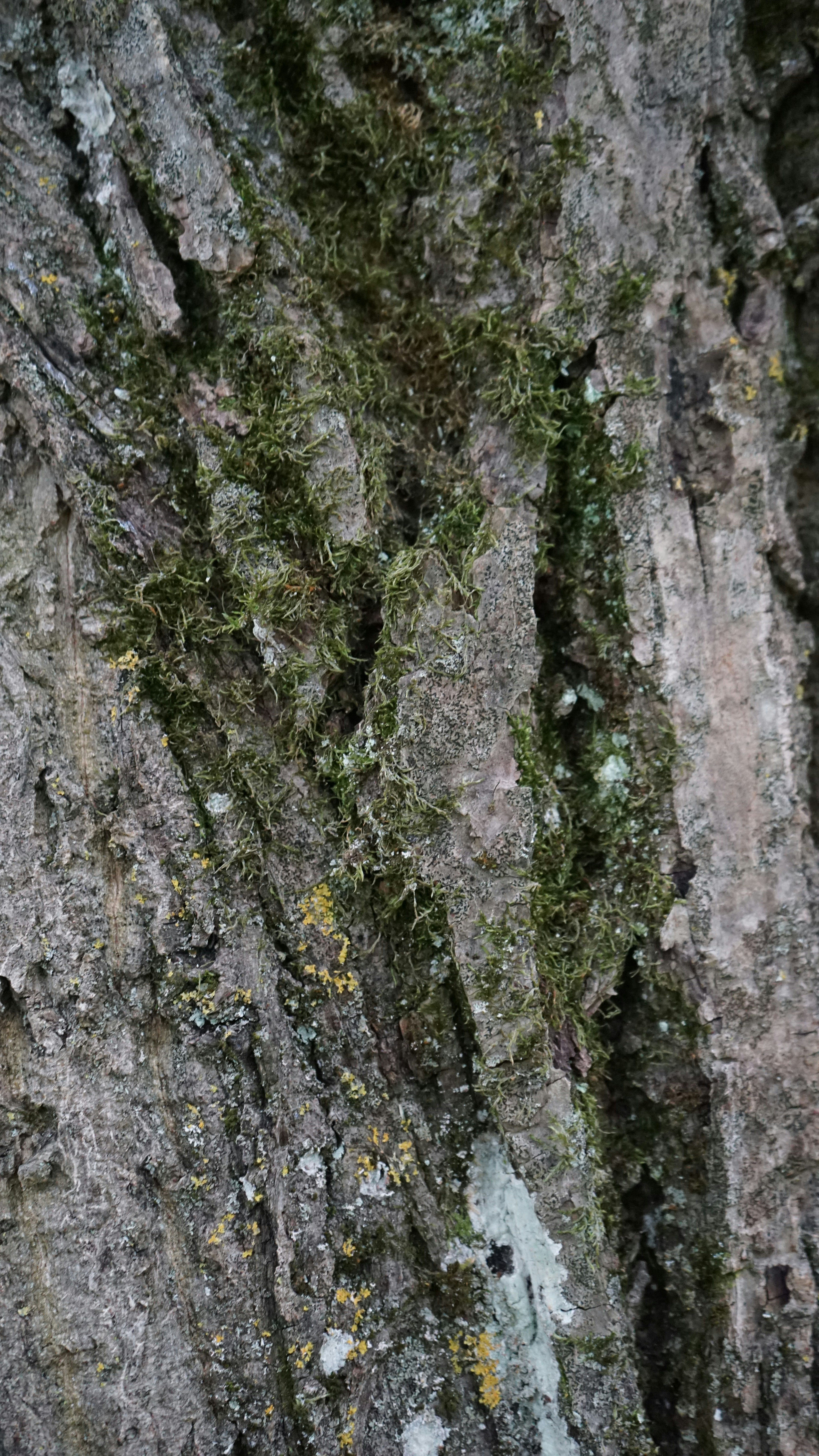 Photo by danielschild