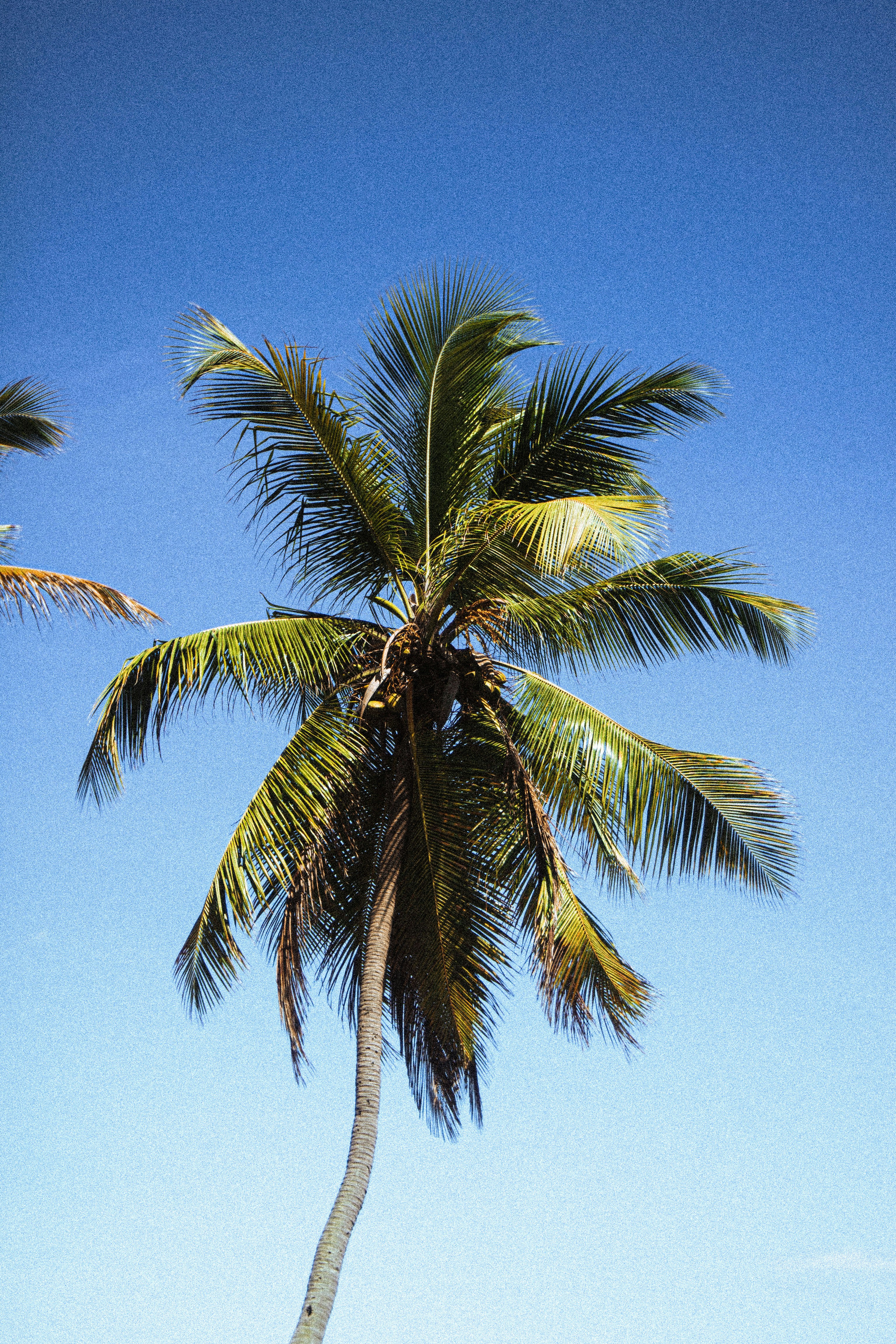 Photo by agustin_pimentel