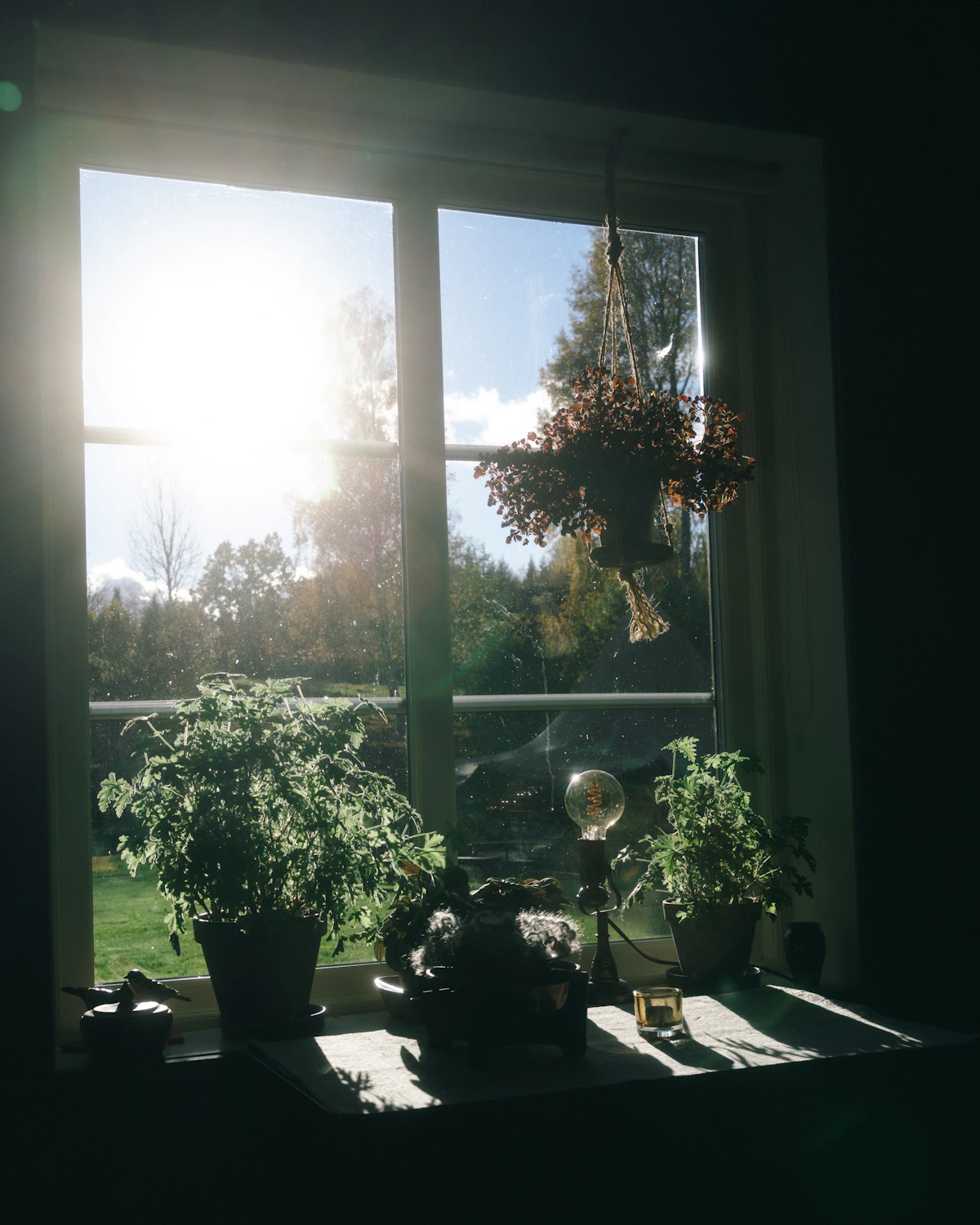Raam met daglicht en planten en balkon appartement met groen