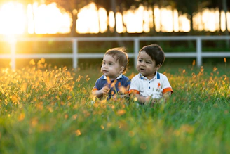 Two babies sitting in grassy field at sunset