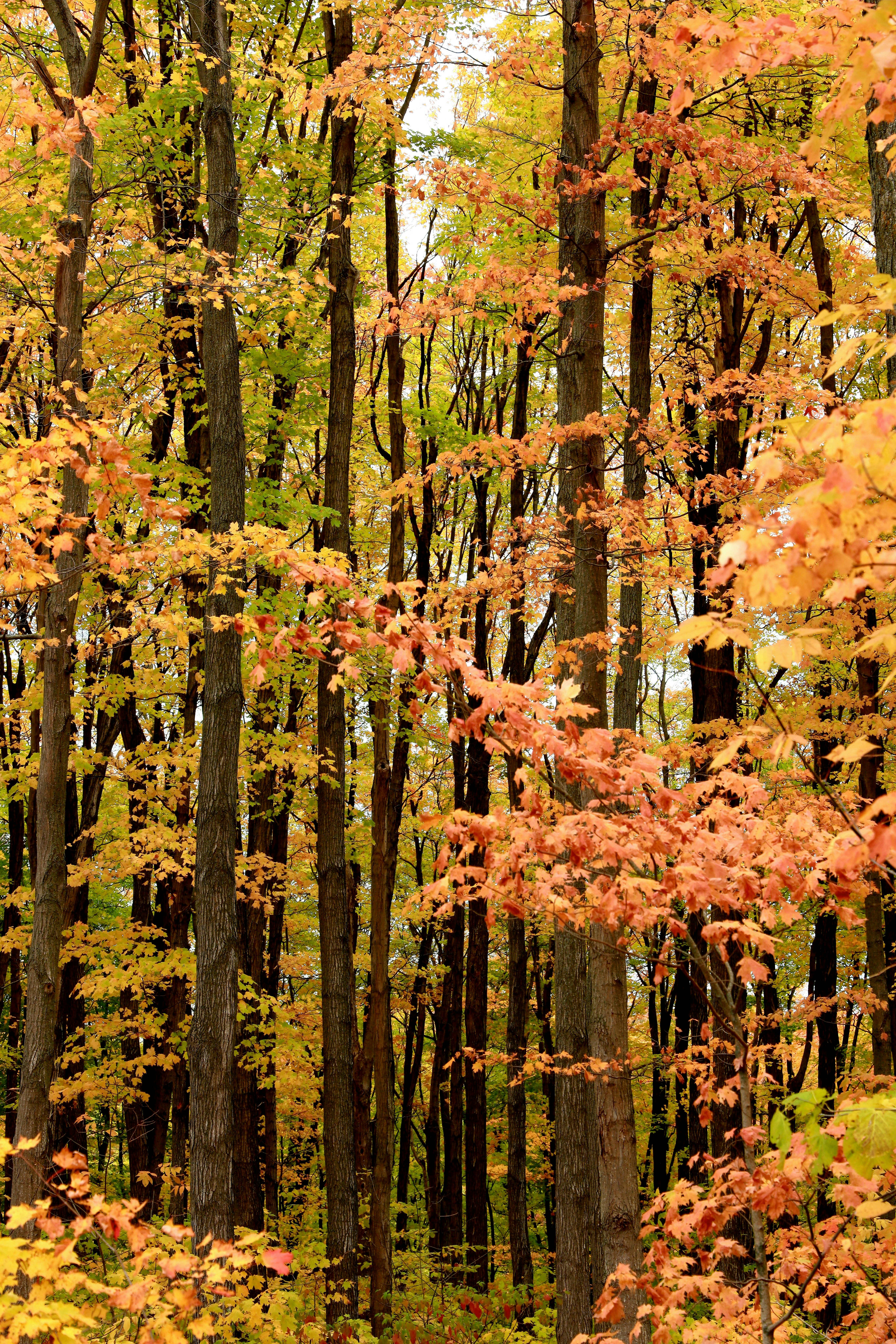 Photo by richardworks