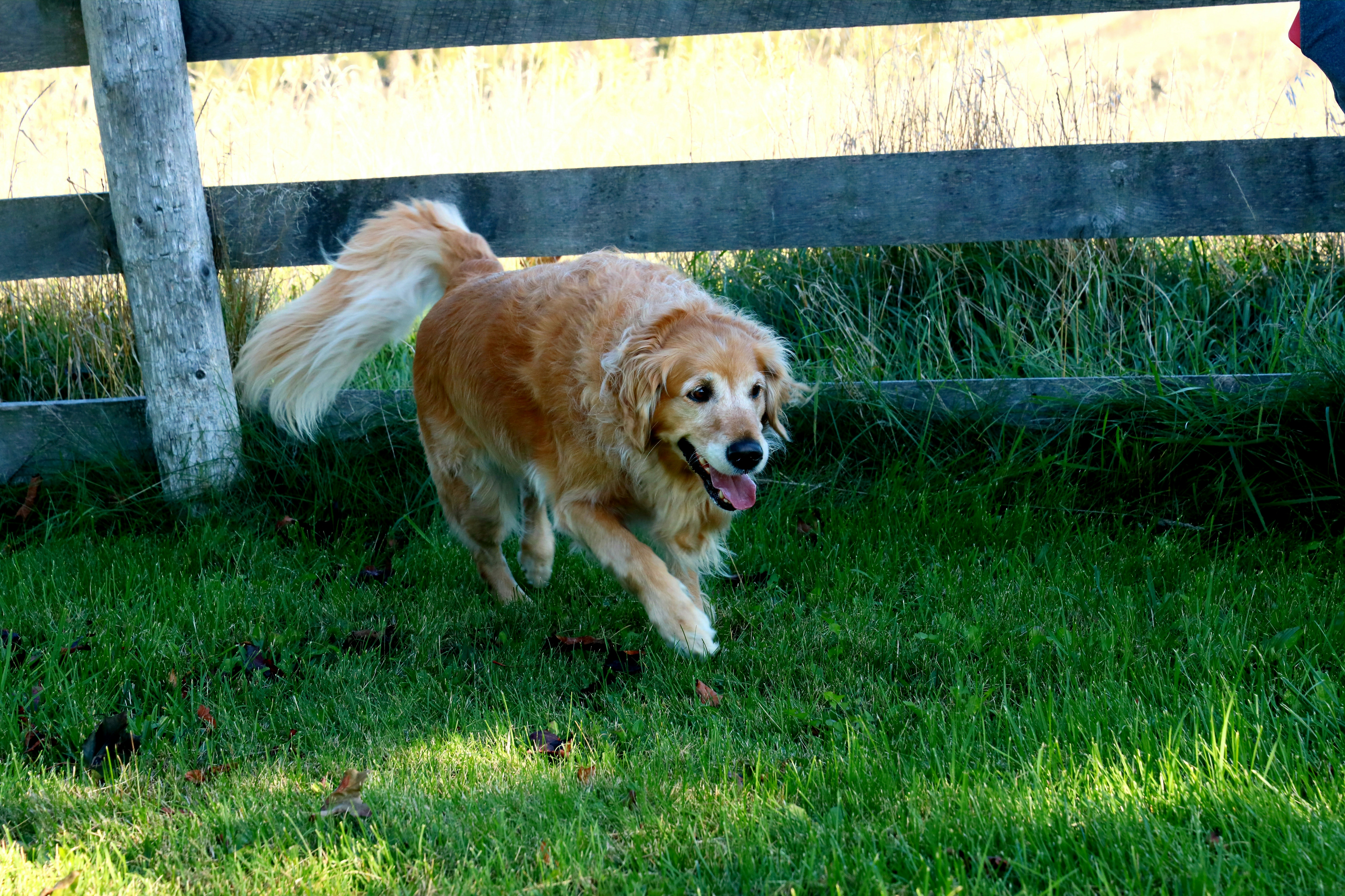 Photo by richardworks