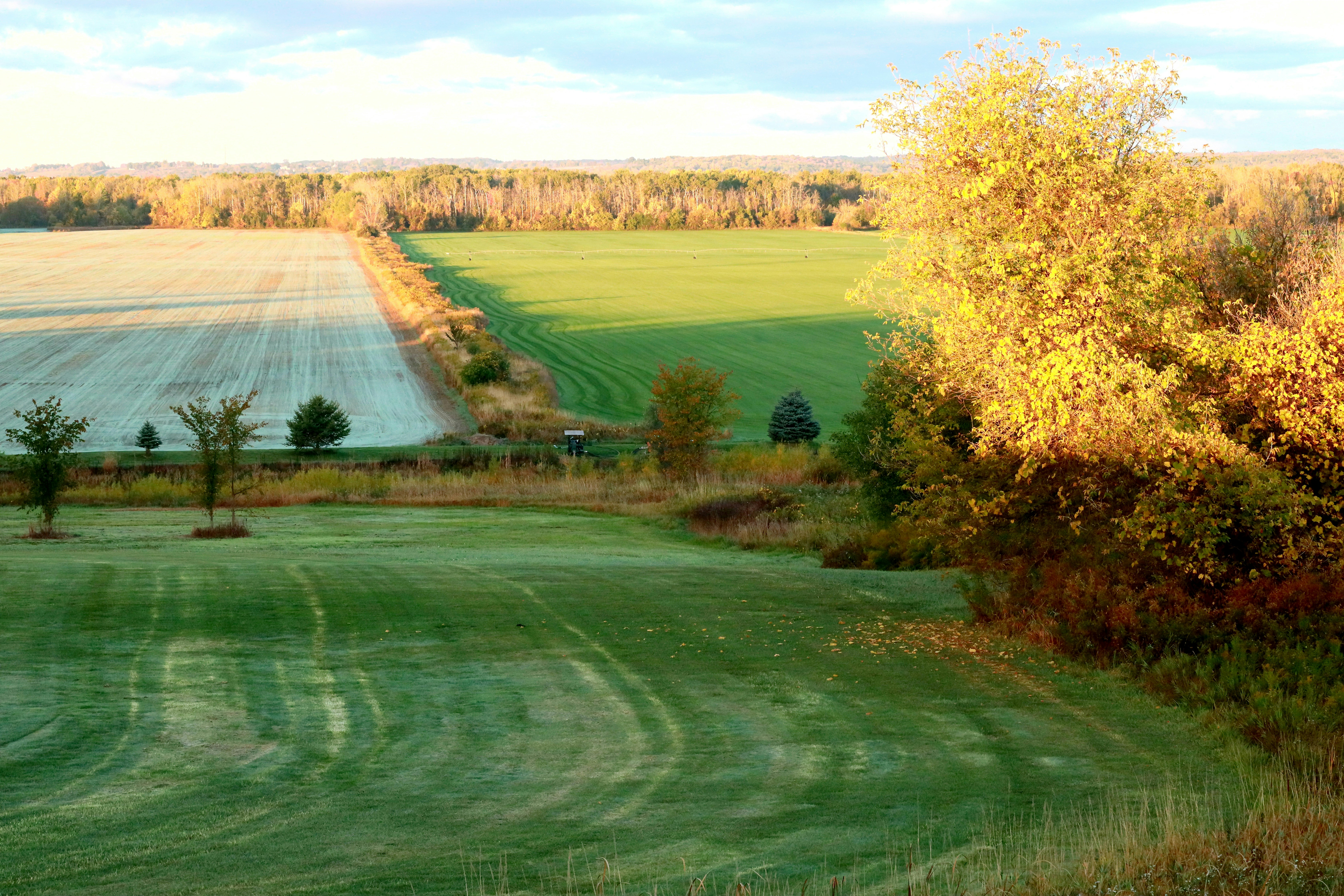 Photo by richardworks