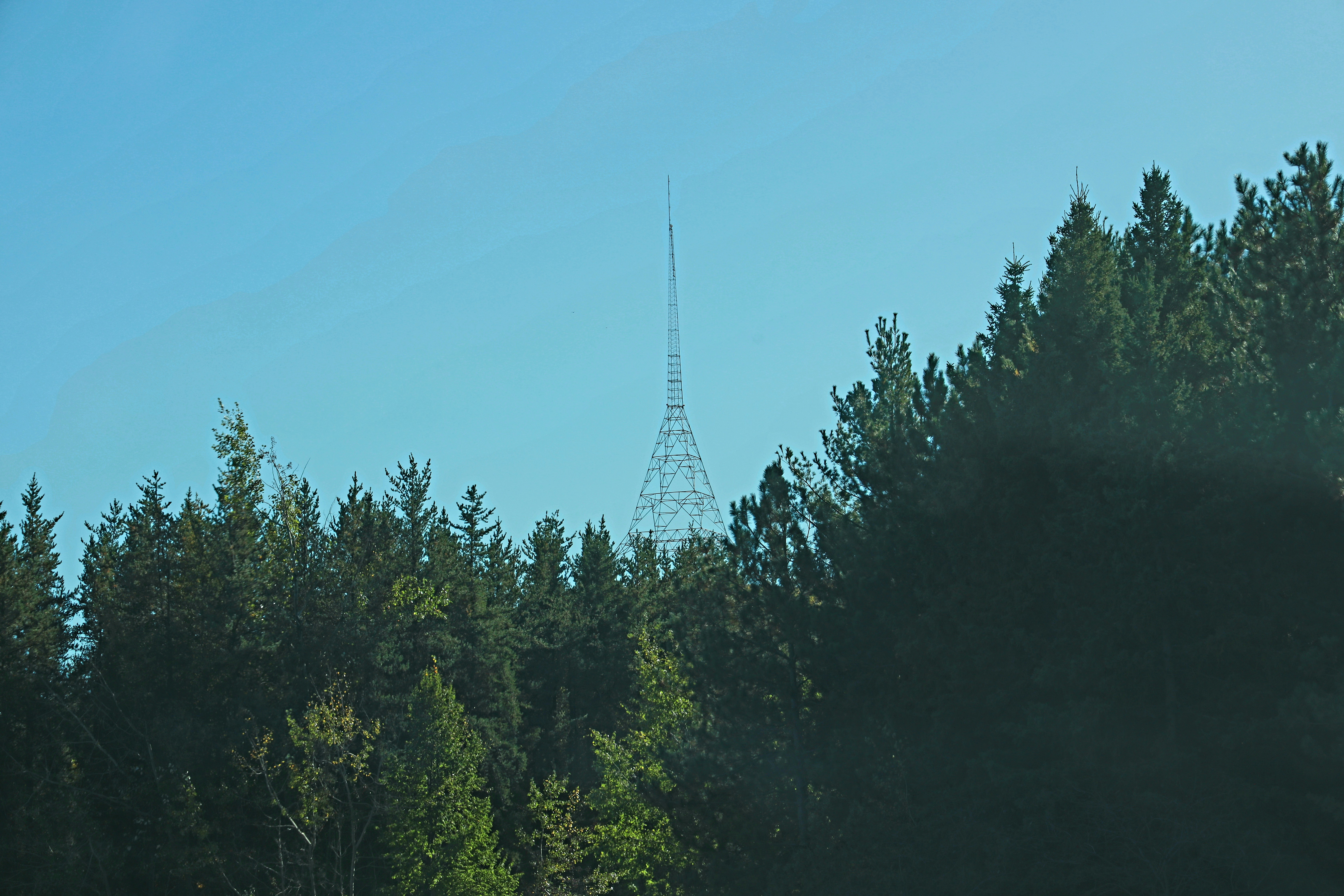 Tall radio tower behind dense green trees