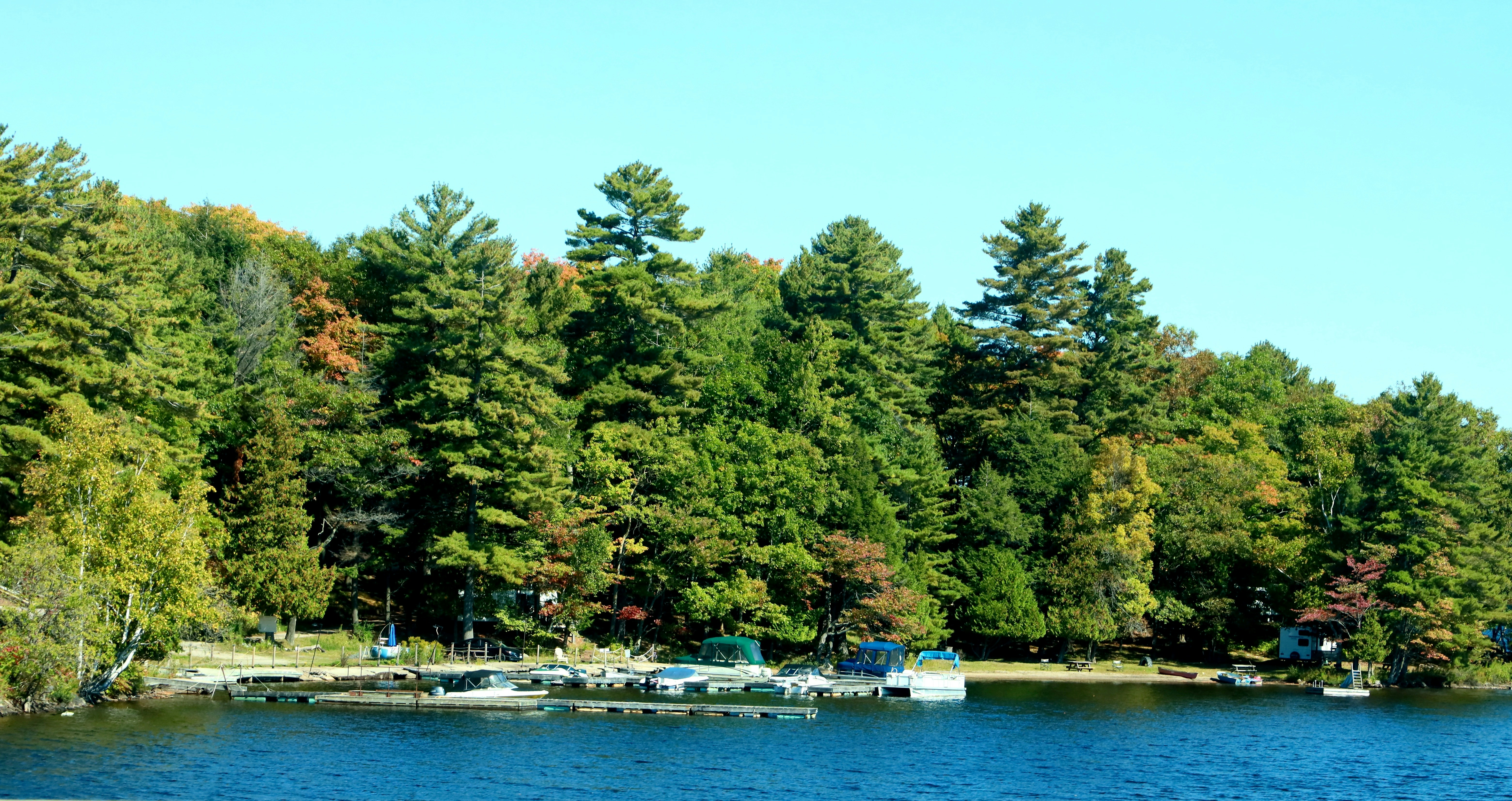 Photo by richardworks