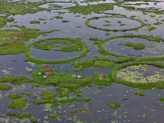 Circular floating islands with huts on a lake
