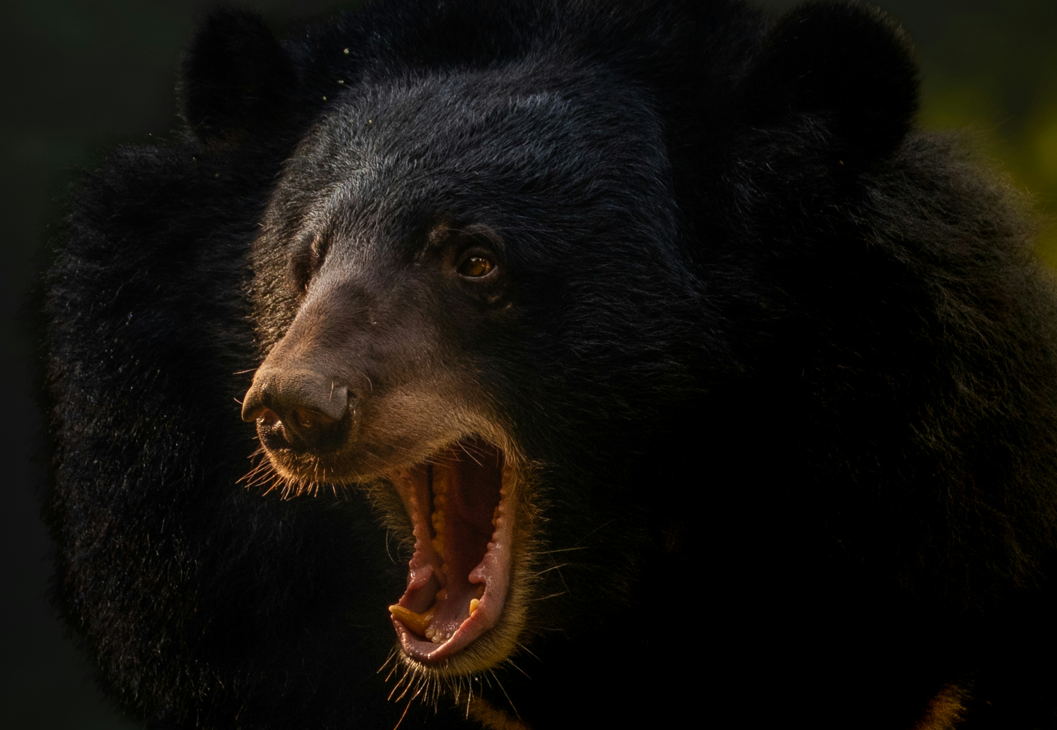 Managing Stomach Hernia Discomfort: Signs And Symptoms, Causes, And Relief Alternatives