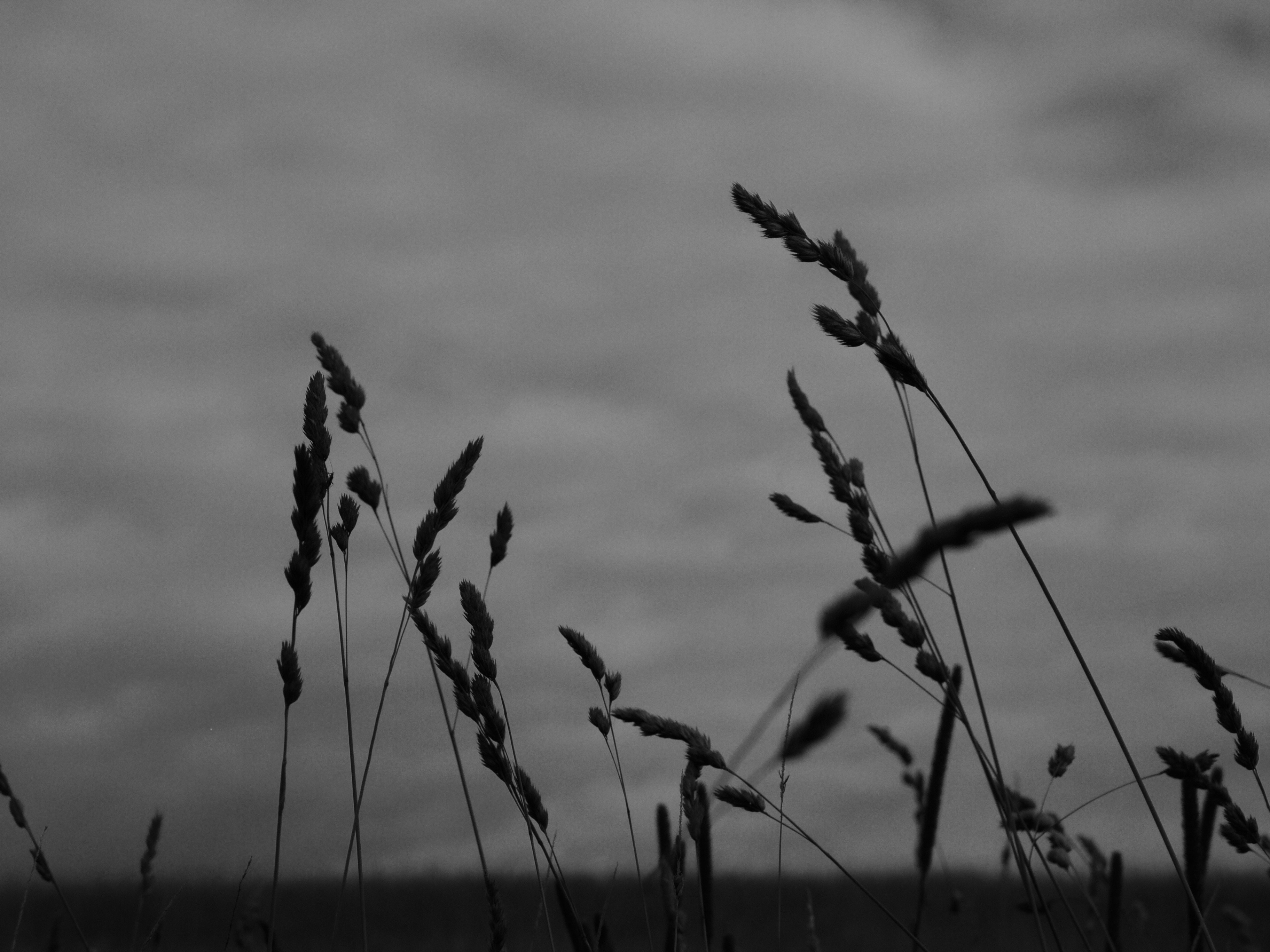 Photo by myworldisblue