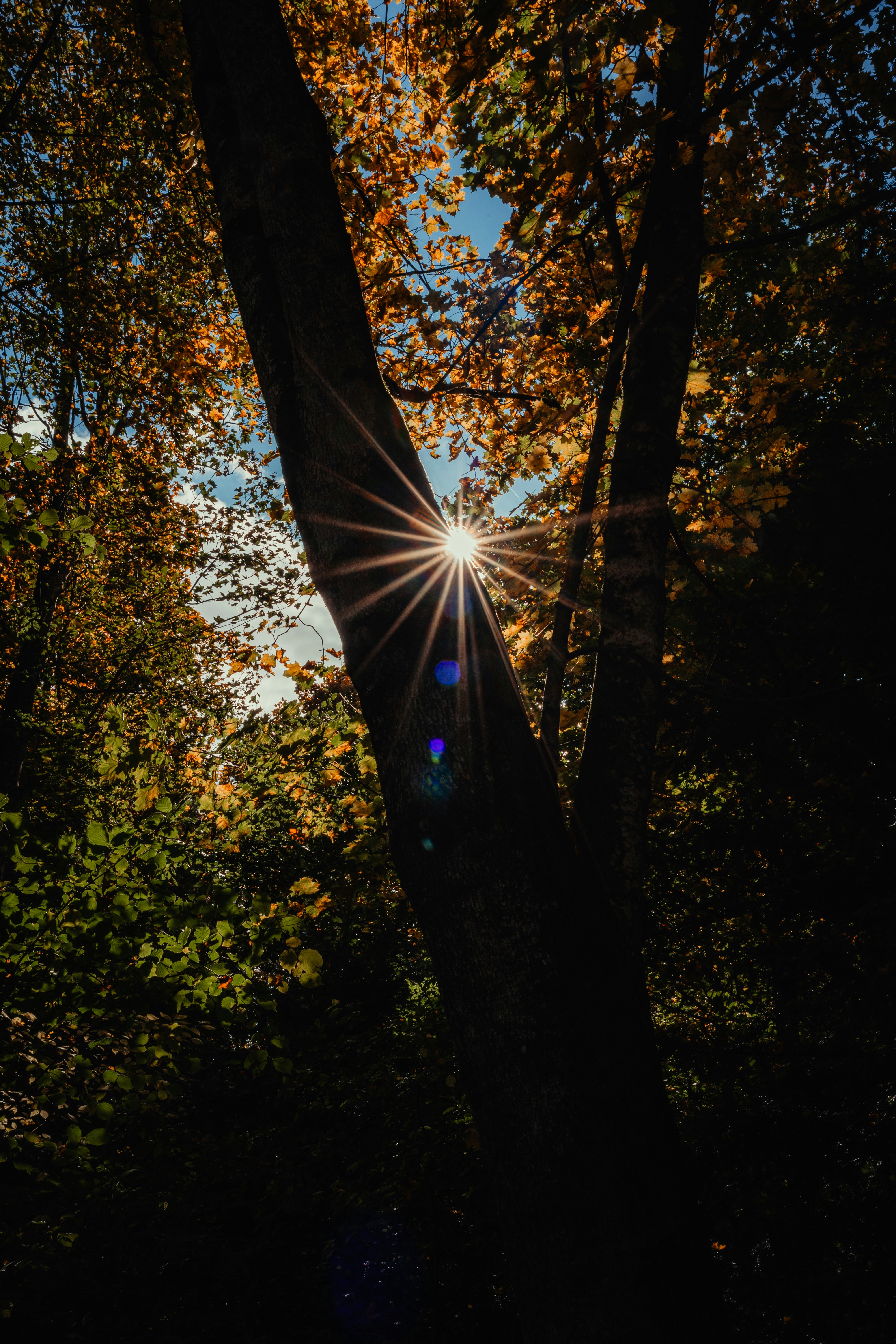 Photo by dermanuskript