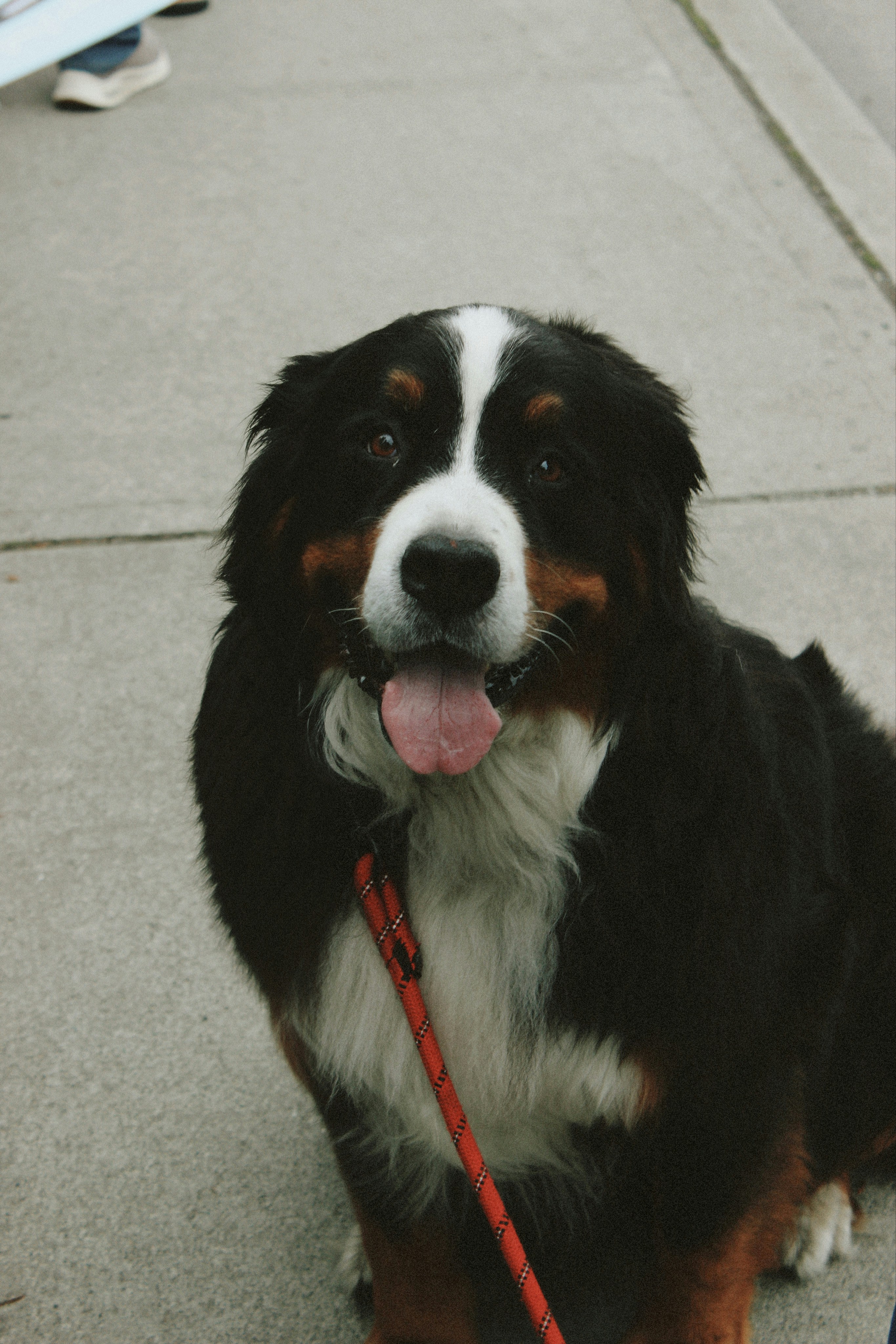 Photo by kambriatrout