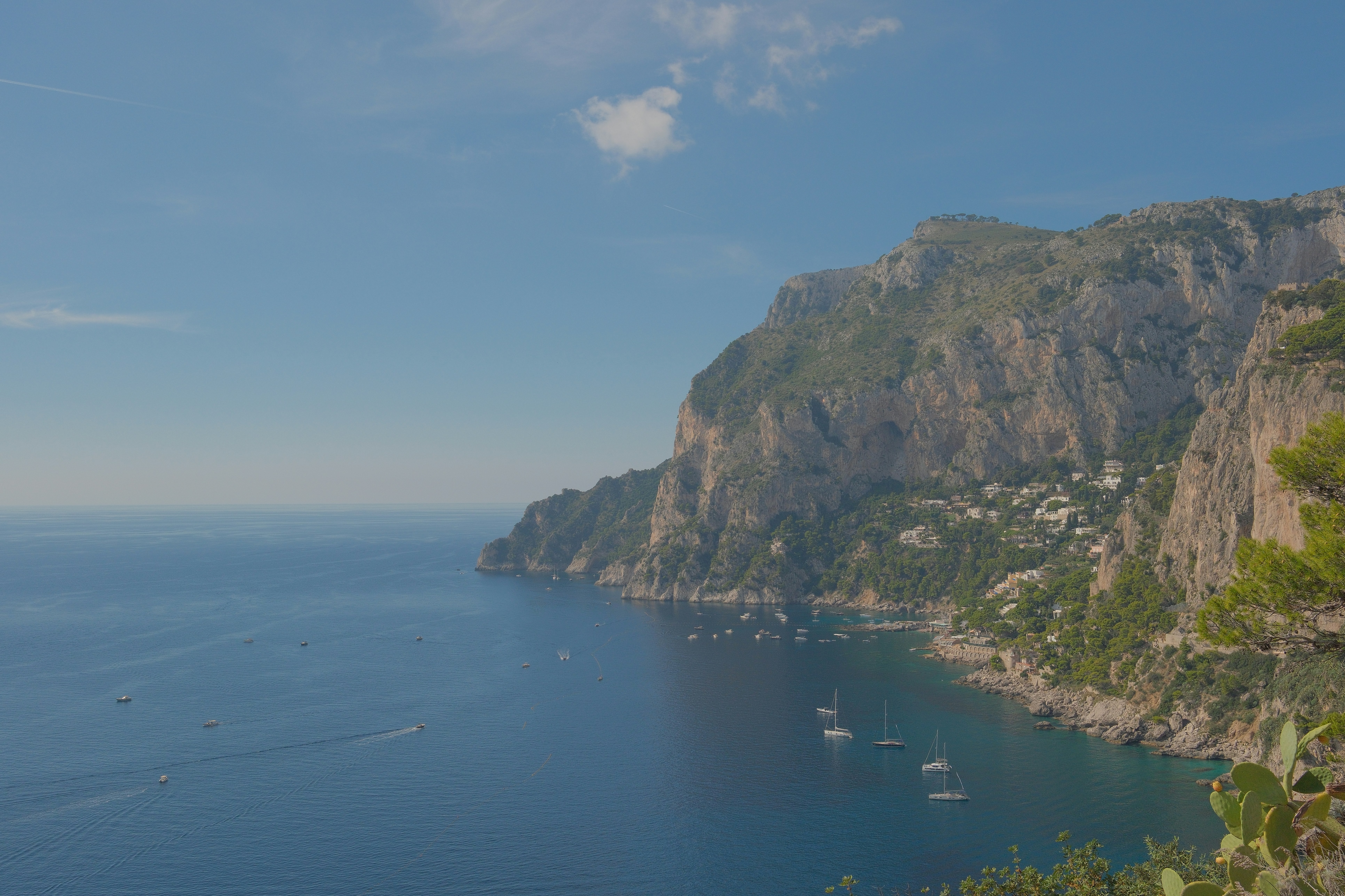 Photo by catalindumitrascu