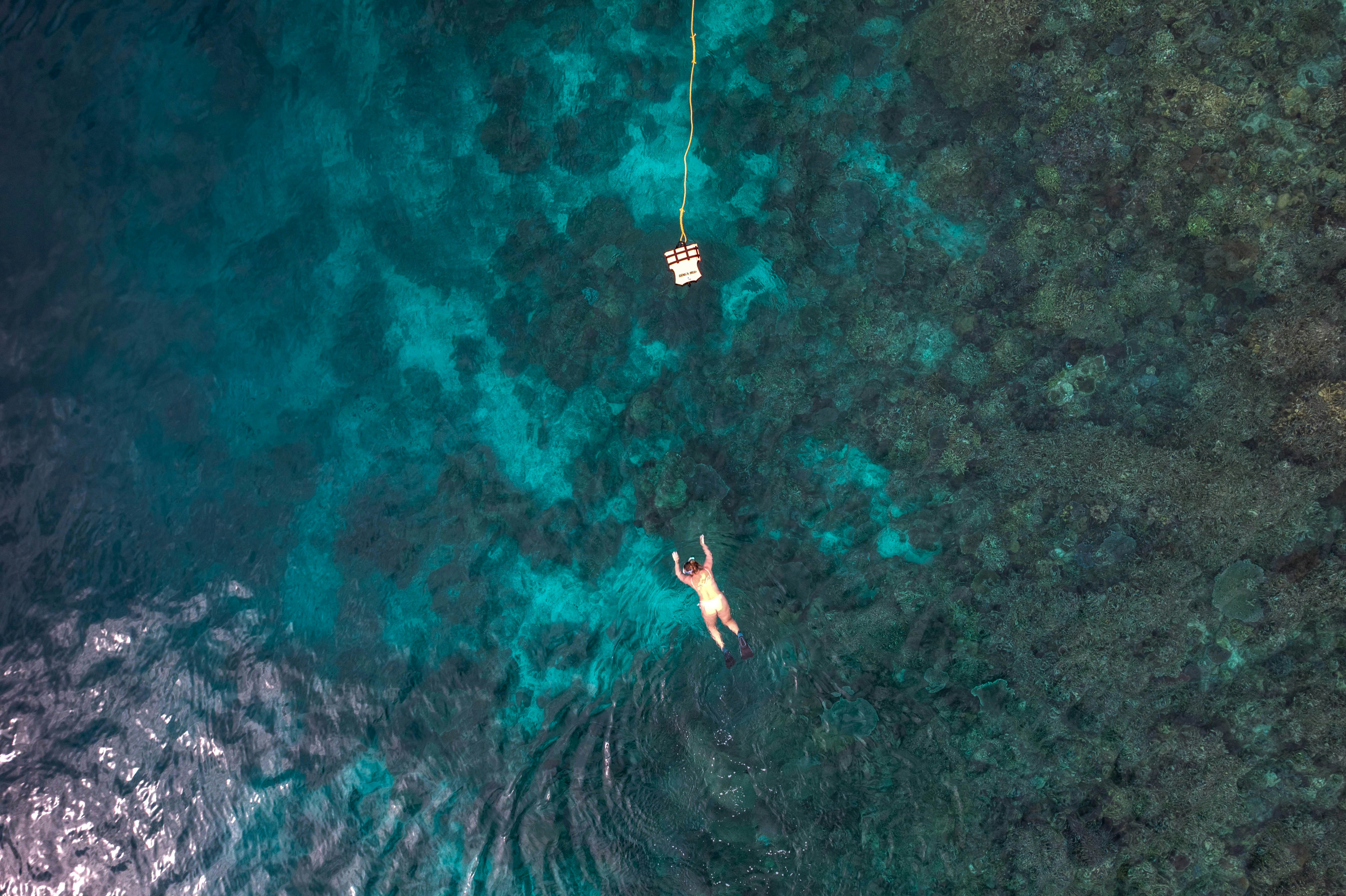 A person swims in clear turquoise ocean water.