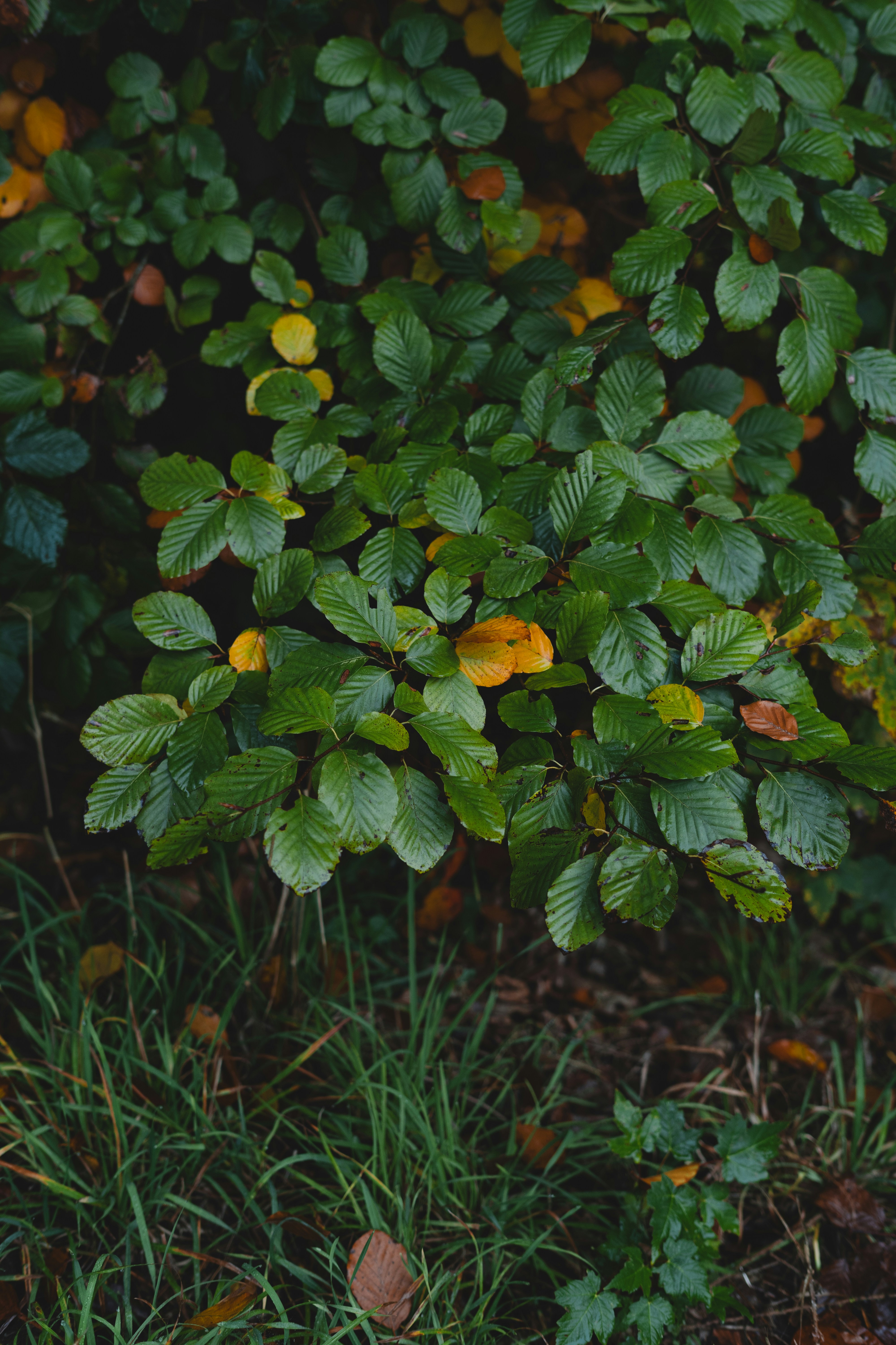 DIY workspace with tools and materials