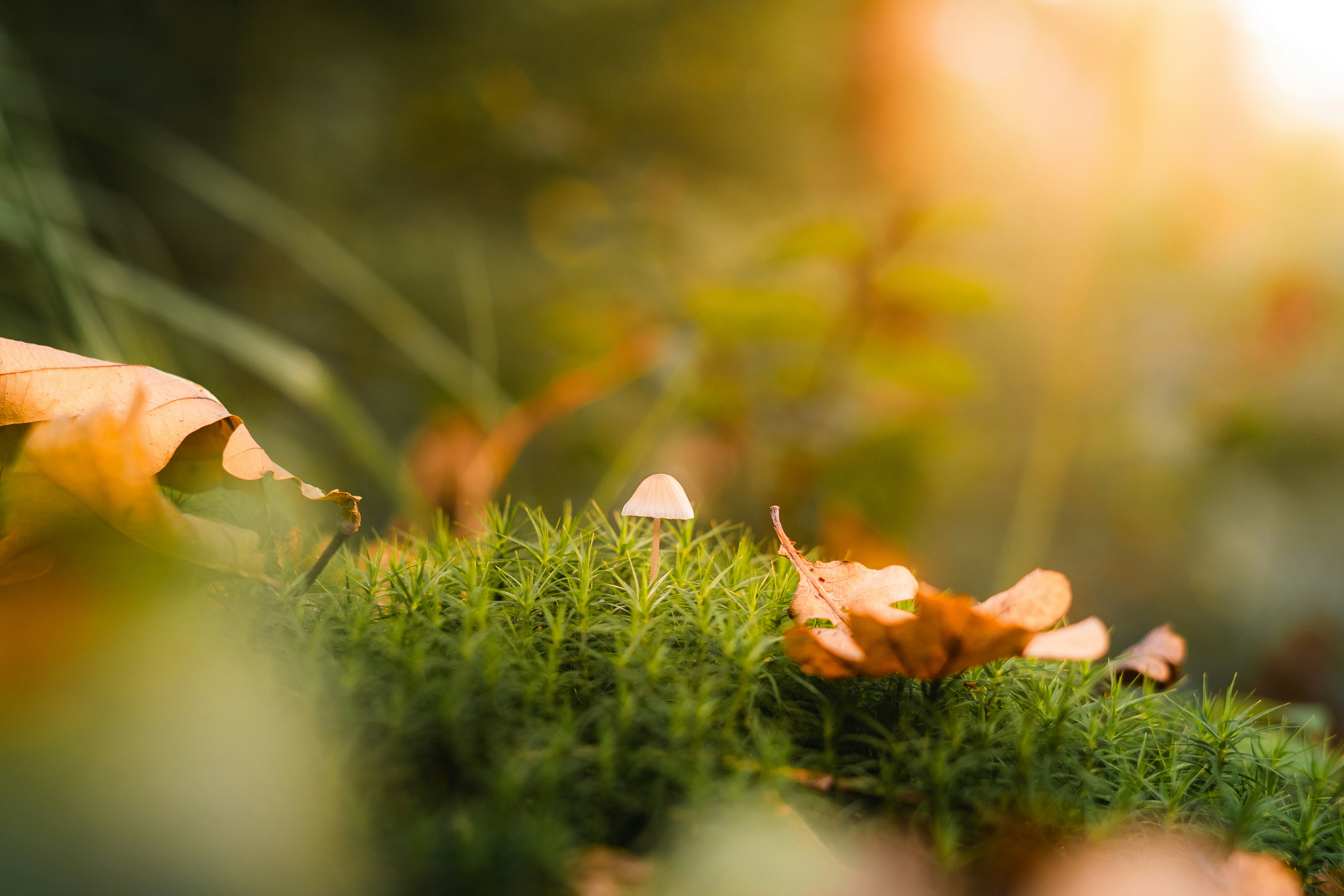 Photo by visualsbying