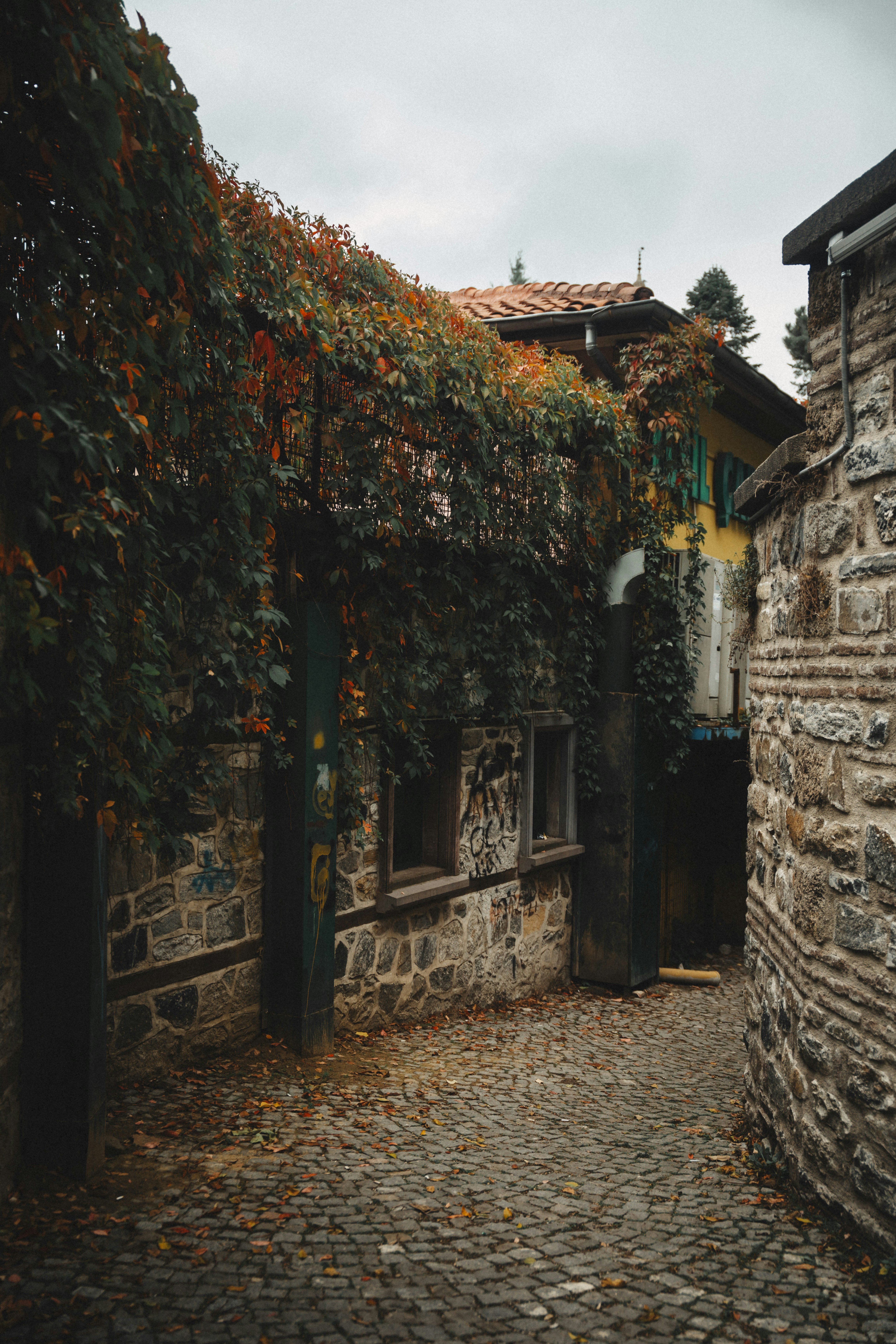 Callejón empedrado con edificios de piedra y follaje otoñal.