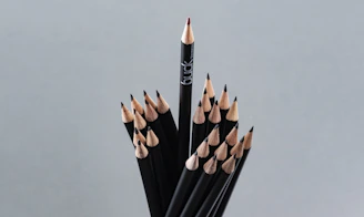 A group of black pencils with one standing tall