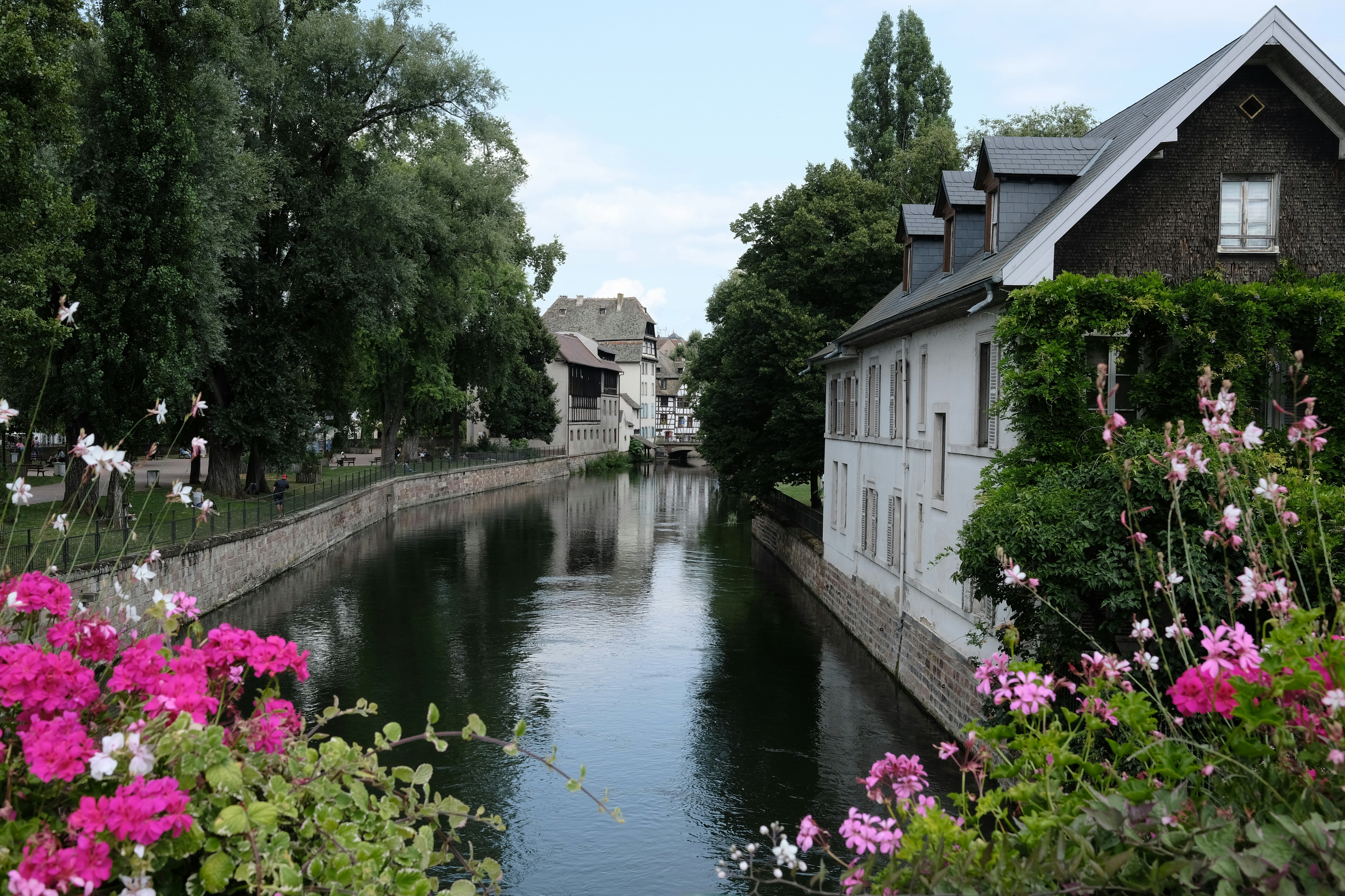 Photo by mario_zgoll