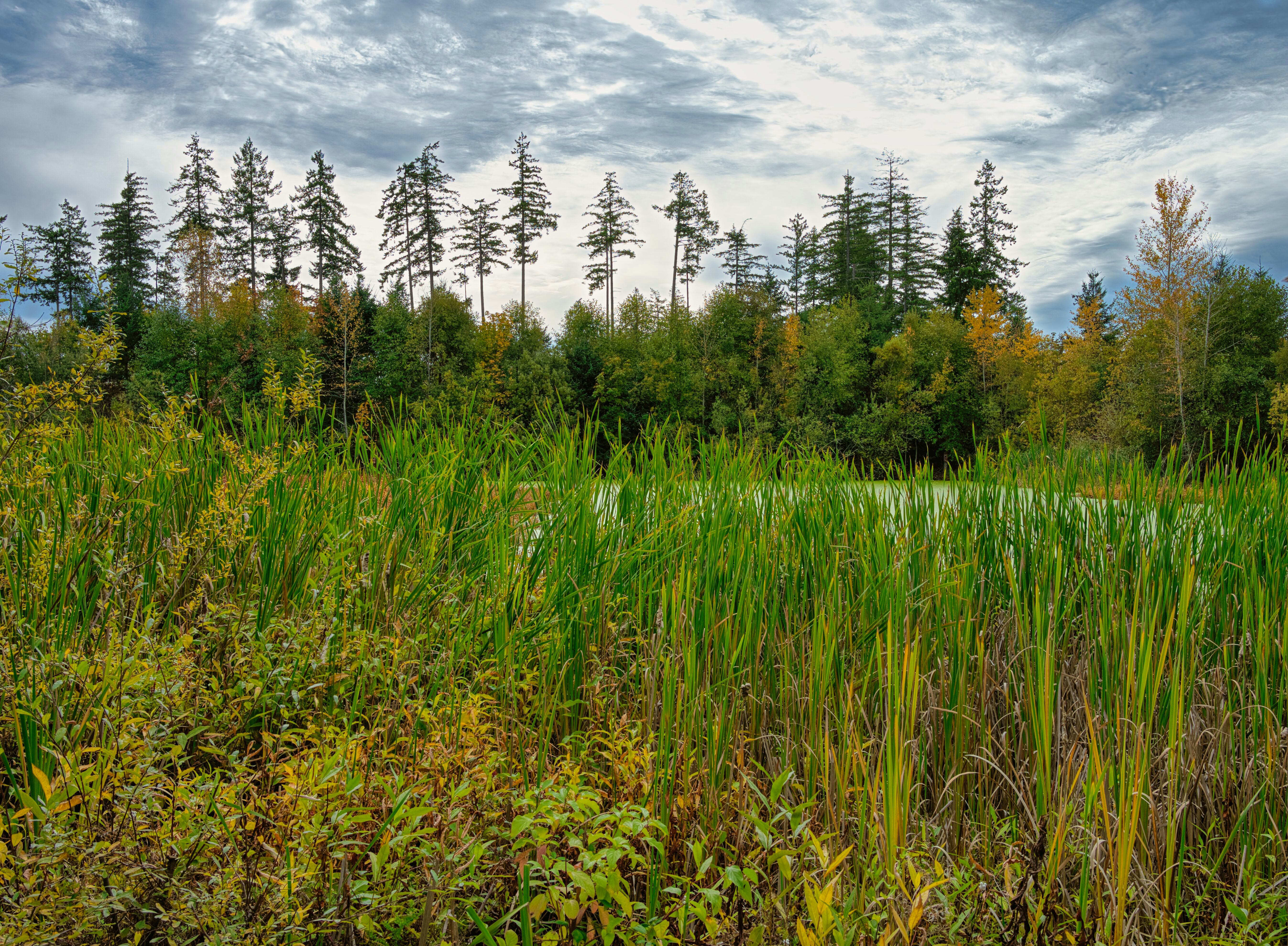 Townsend Walton ( twalton) Communauté photos Unsplash