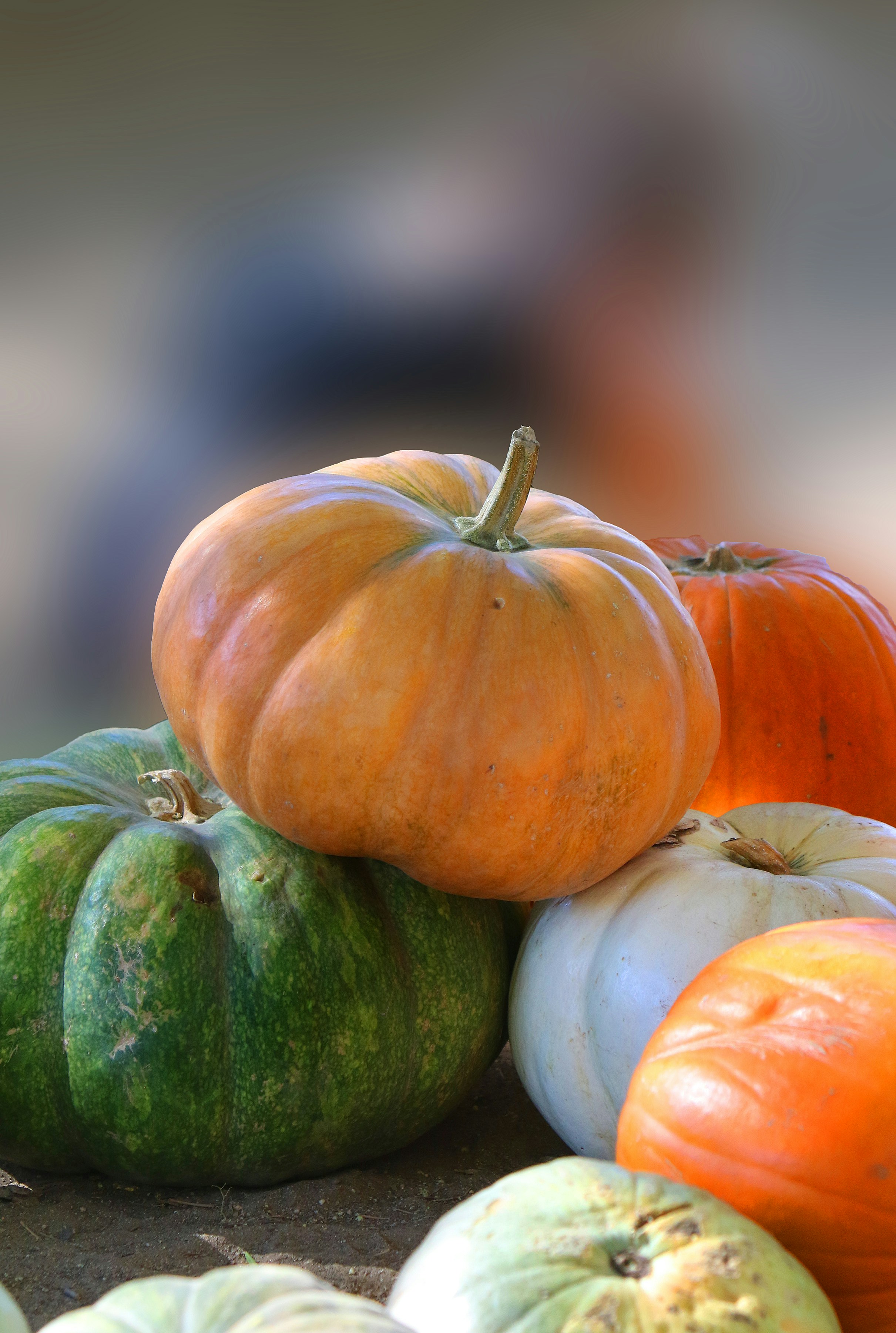 A pile of colorful pumpkins in varying sizes.