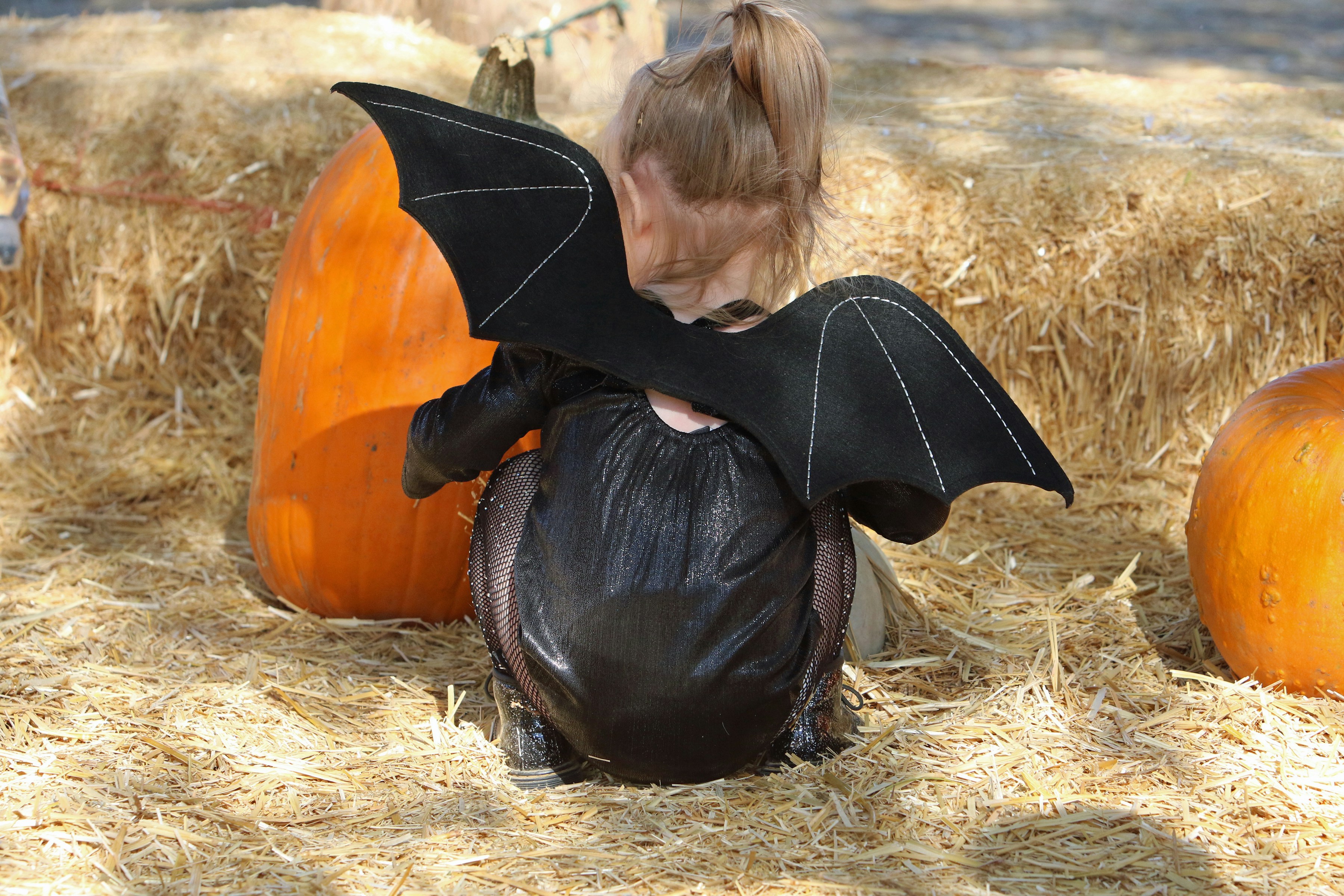 Child in bat costume with pumpkins and hay