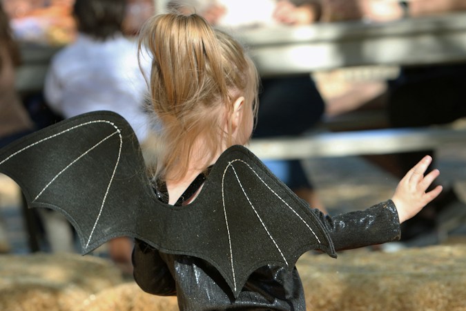 Young child wearing a bat wings costume, the kind of outfit that fits Henderson's Teenie Weenie Halloweenie costume parade for kids 6 and under