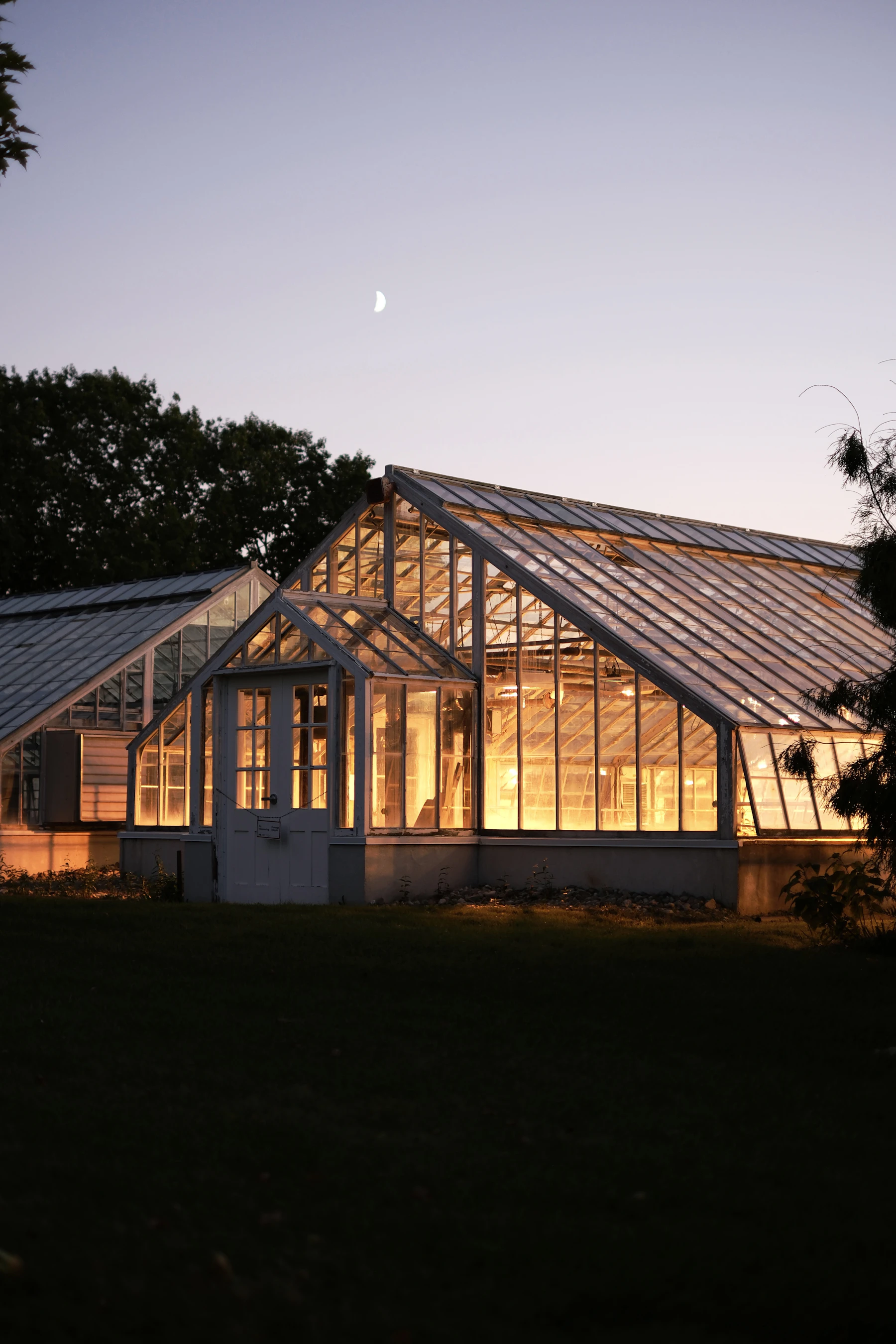 A small glasshouse glowing warm from inside at dusk, a sliver of moon above