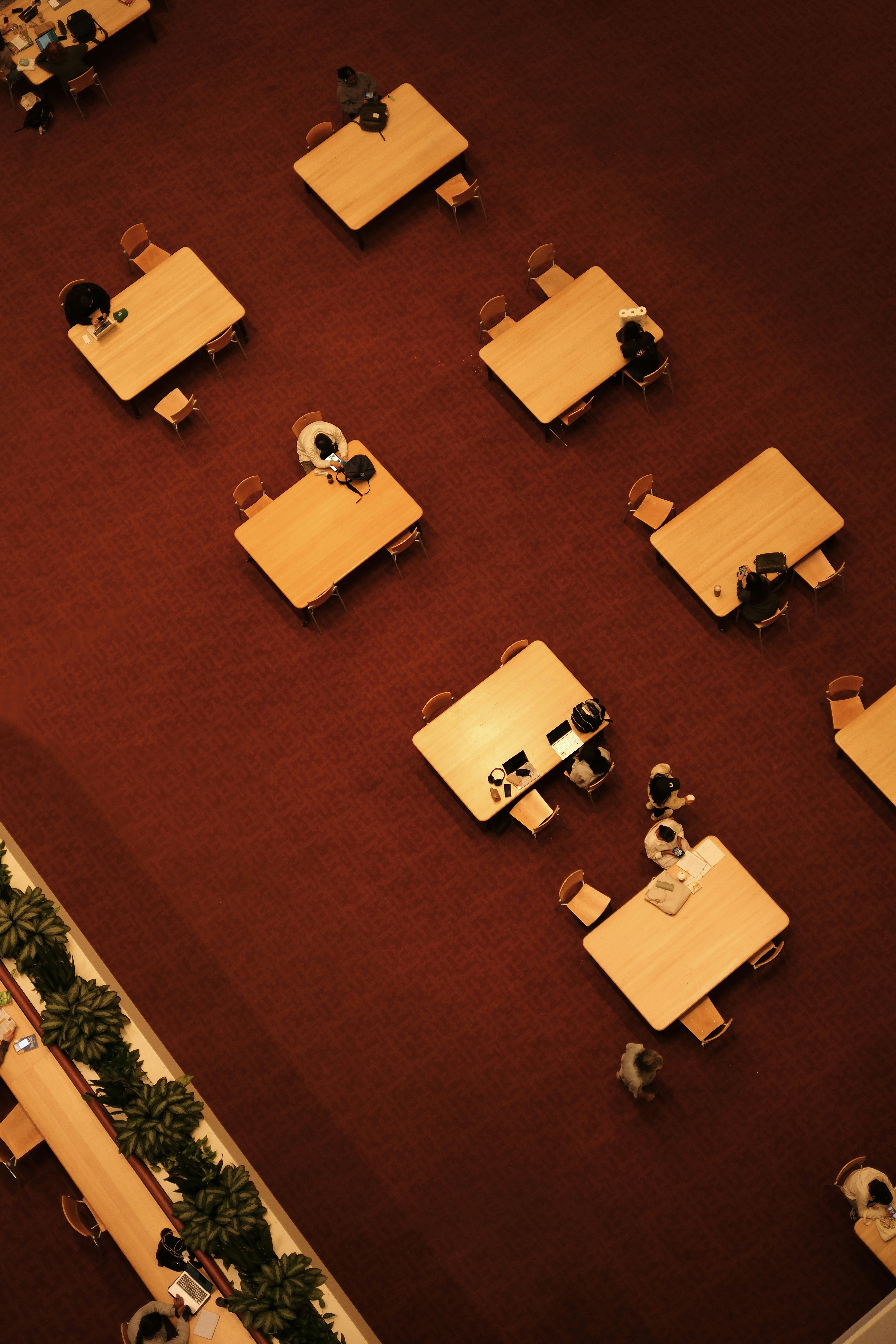 minimalist library desk, wallpaper, Difference Between Hortatory and Analytical Exposition: Full Guide 4