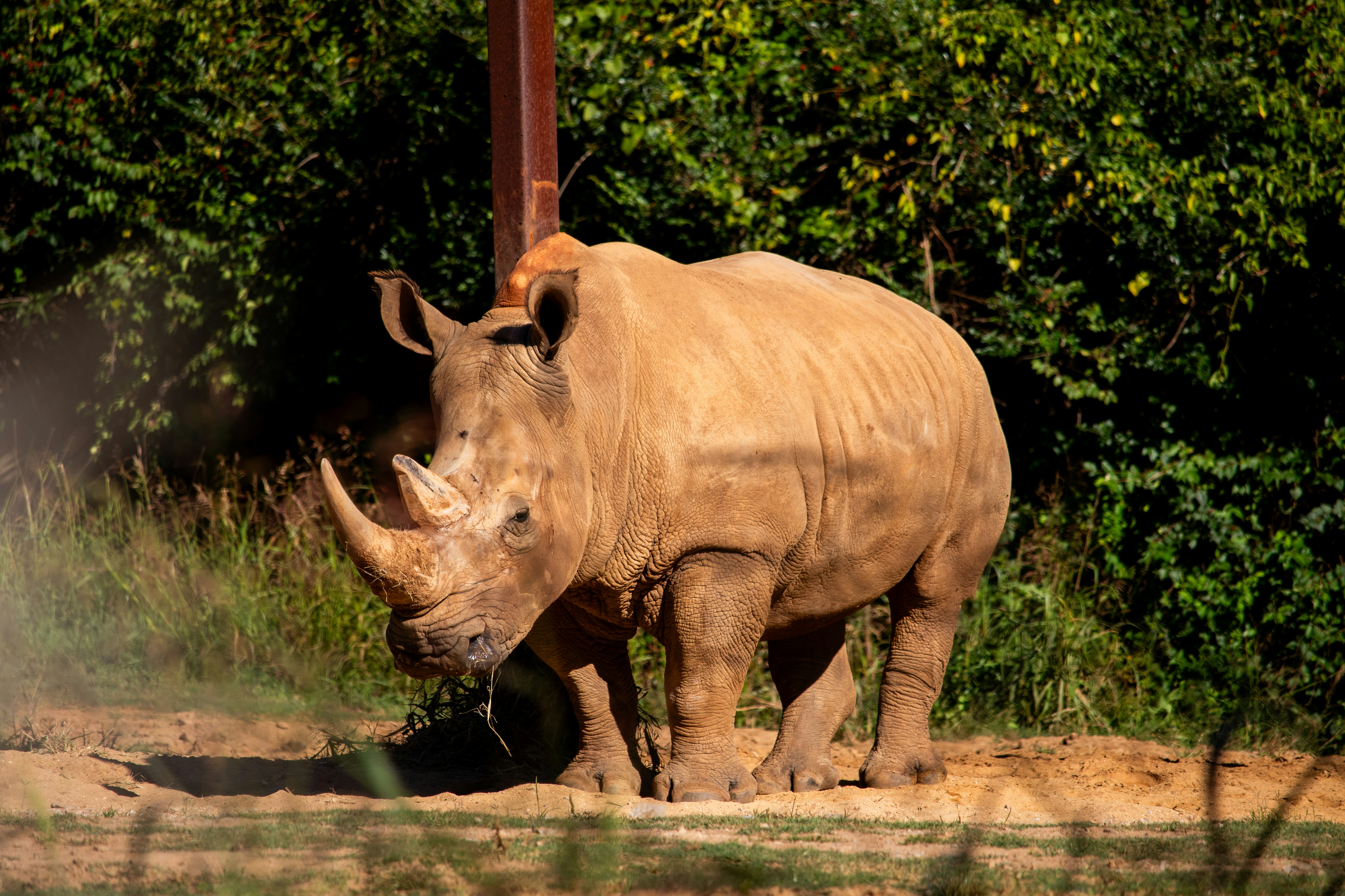 Photo by rubyhuntphotography