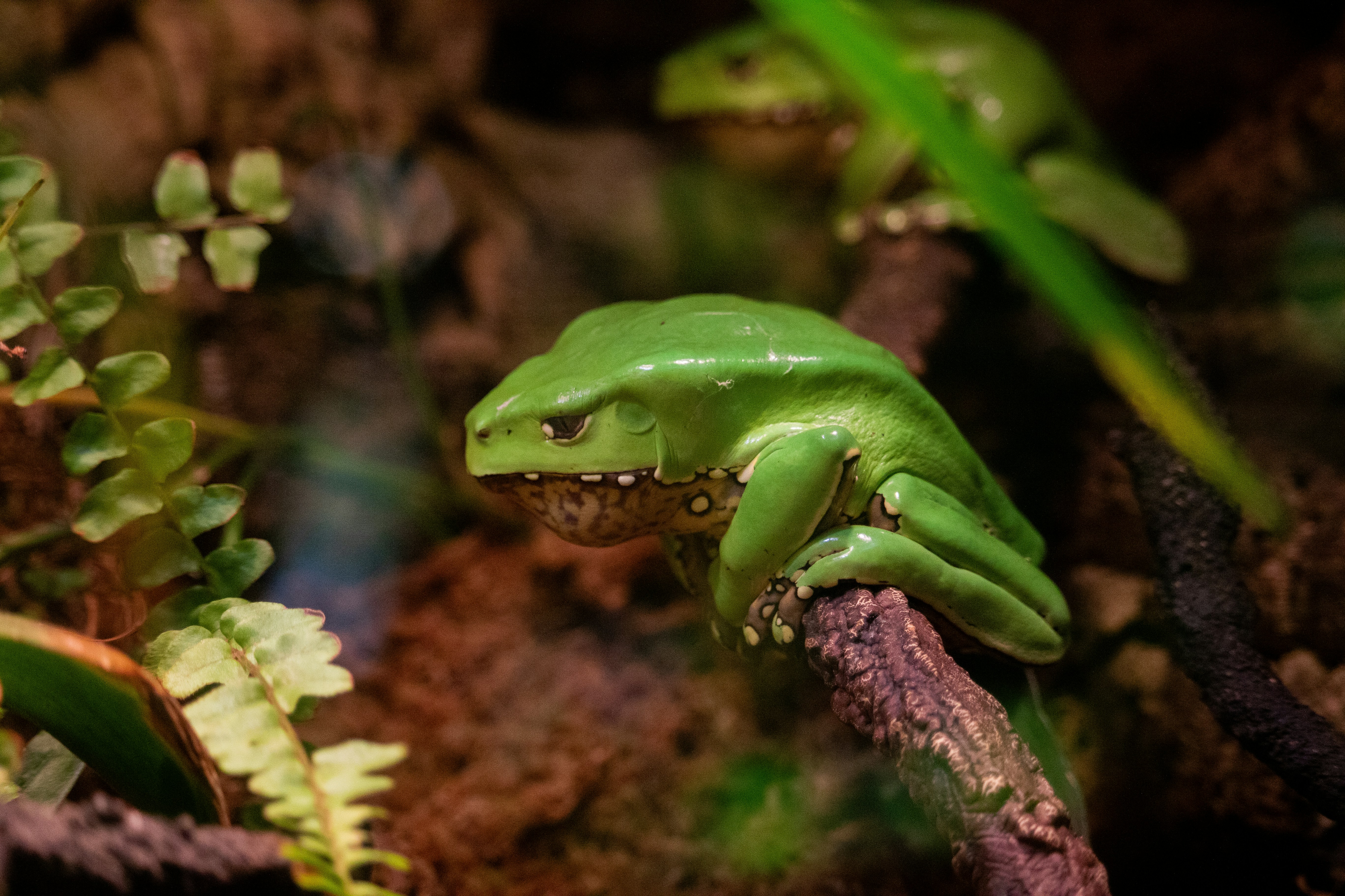 Photo by rubyhuntphotography