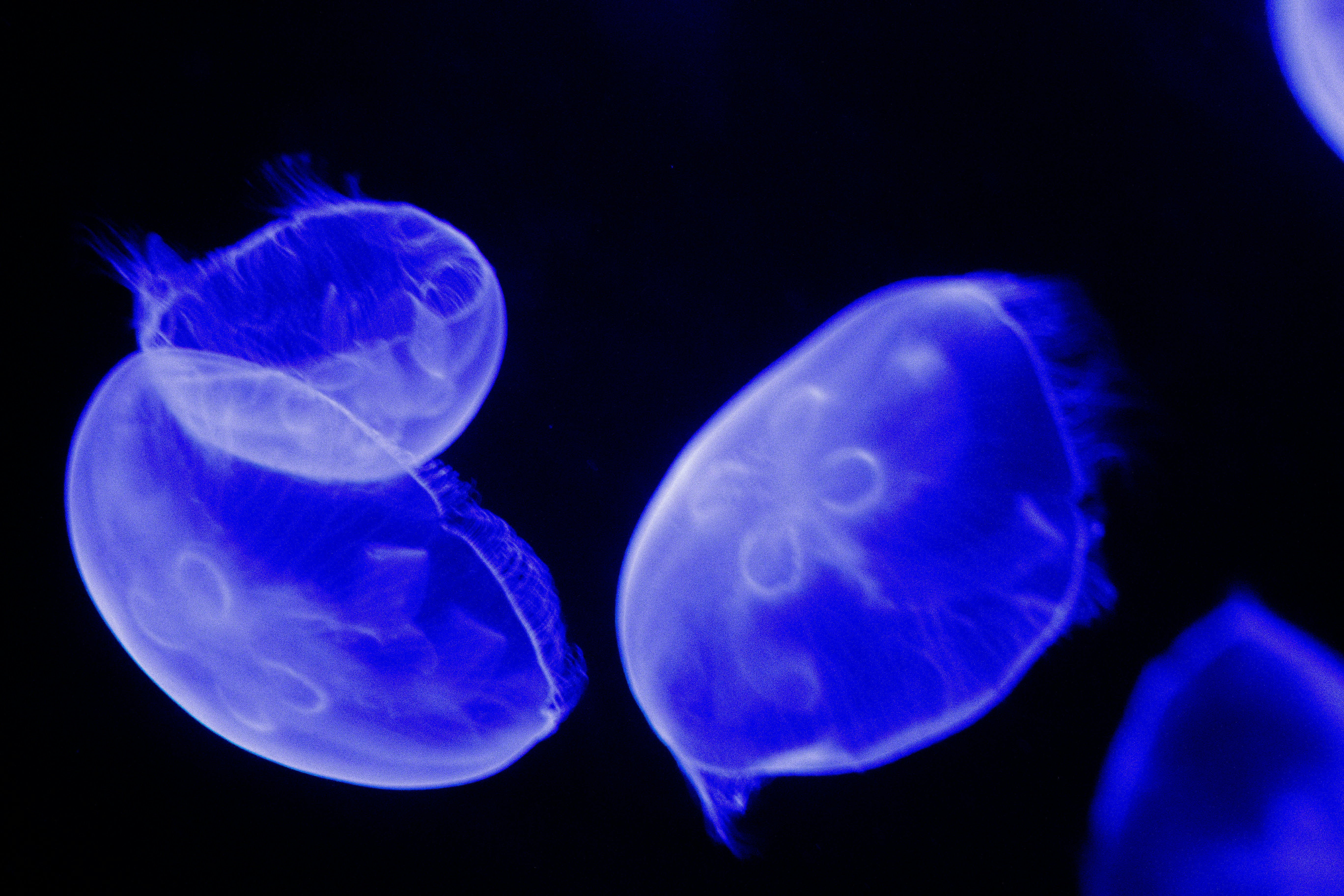 Photo by rubyhuntphotography