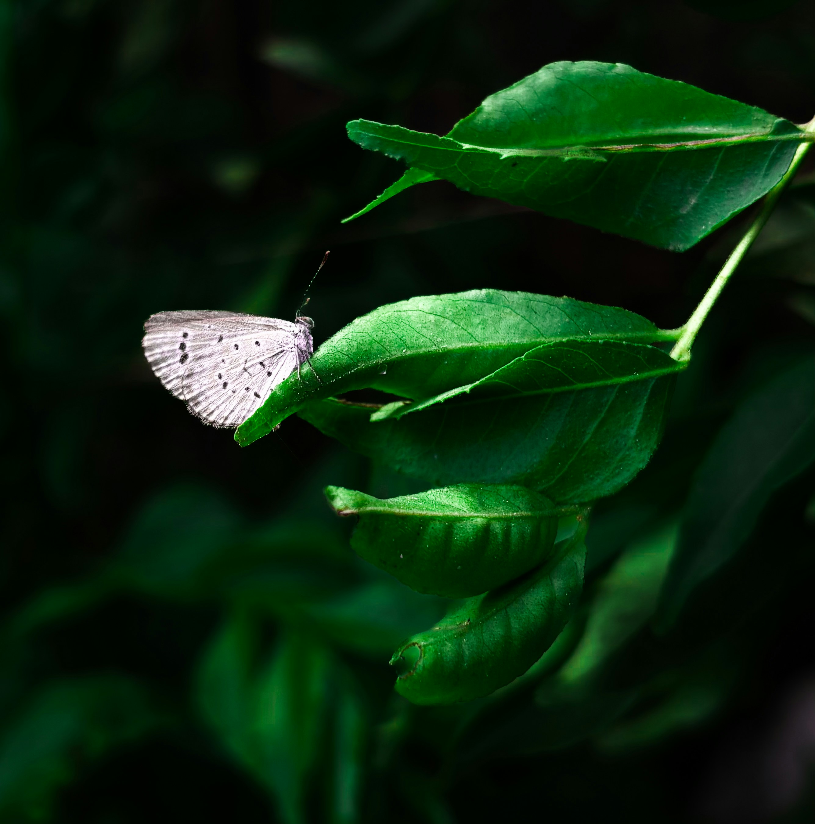 Photo by prsxhnt_mth