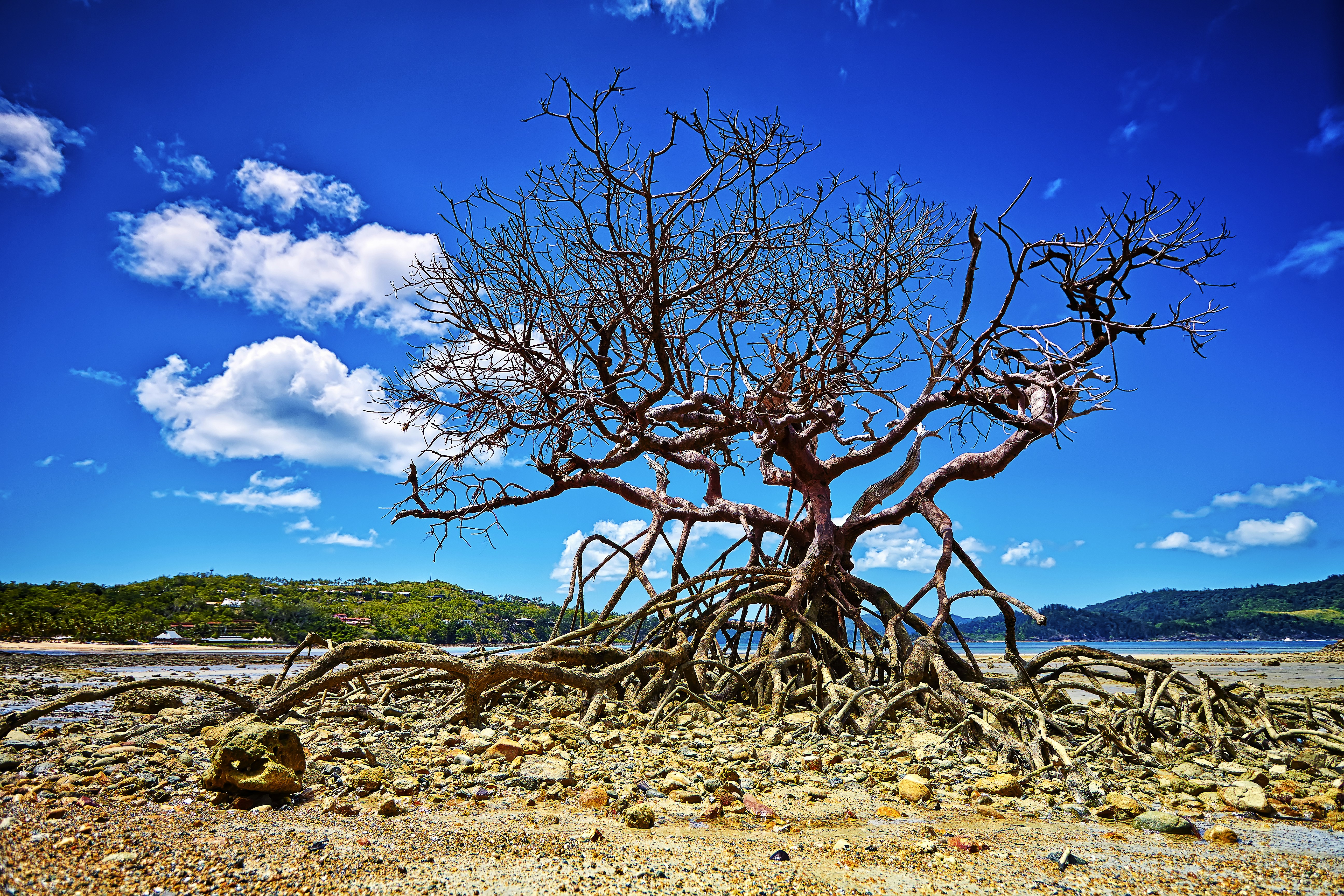 Photo by markdunhamsydney