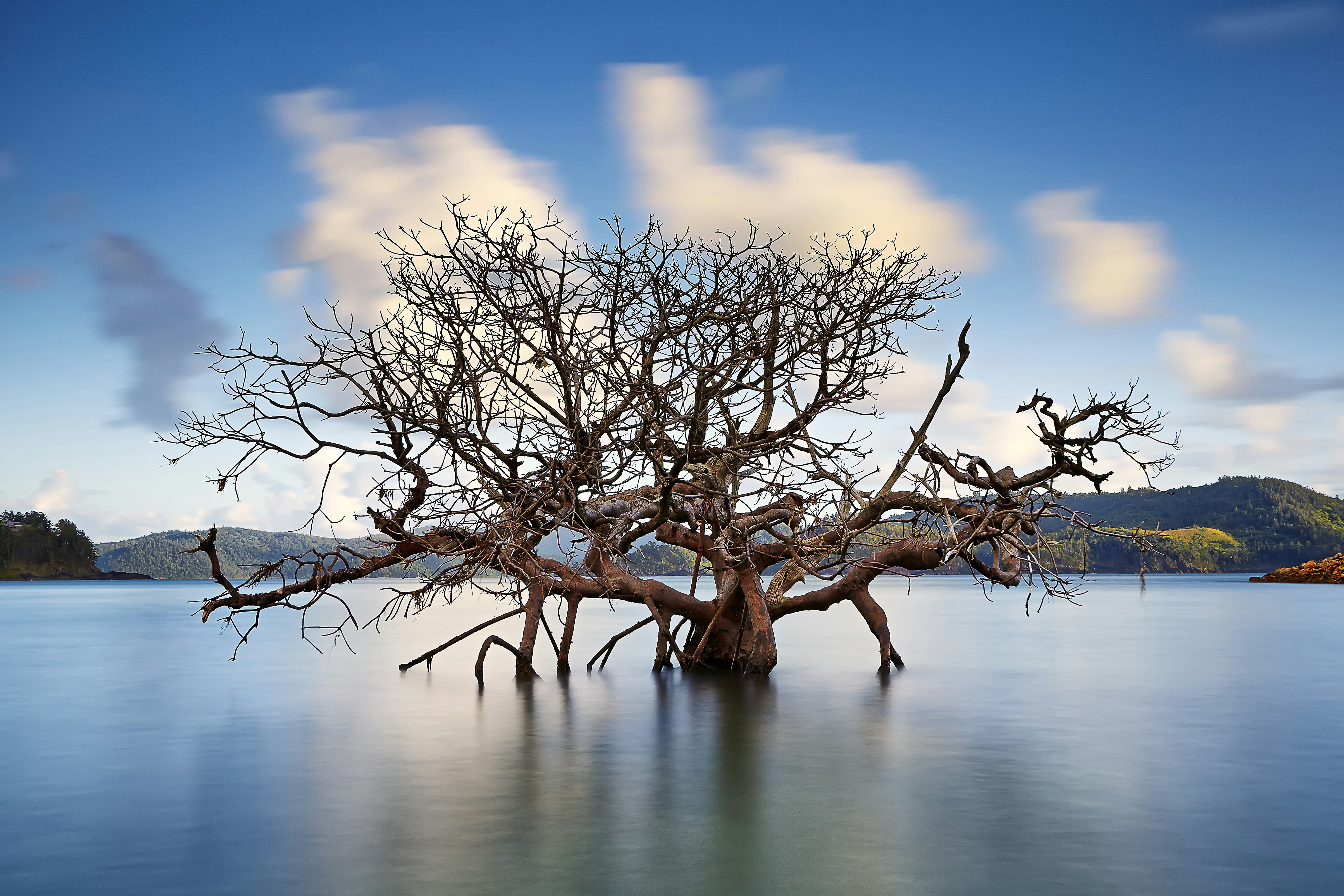 Photo by markdunhamsydney