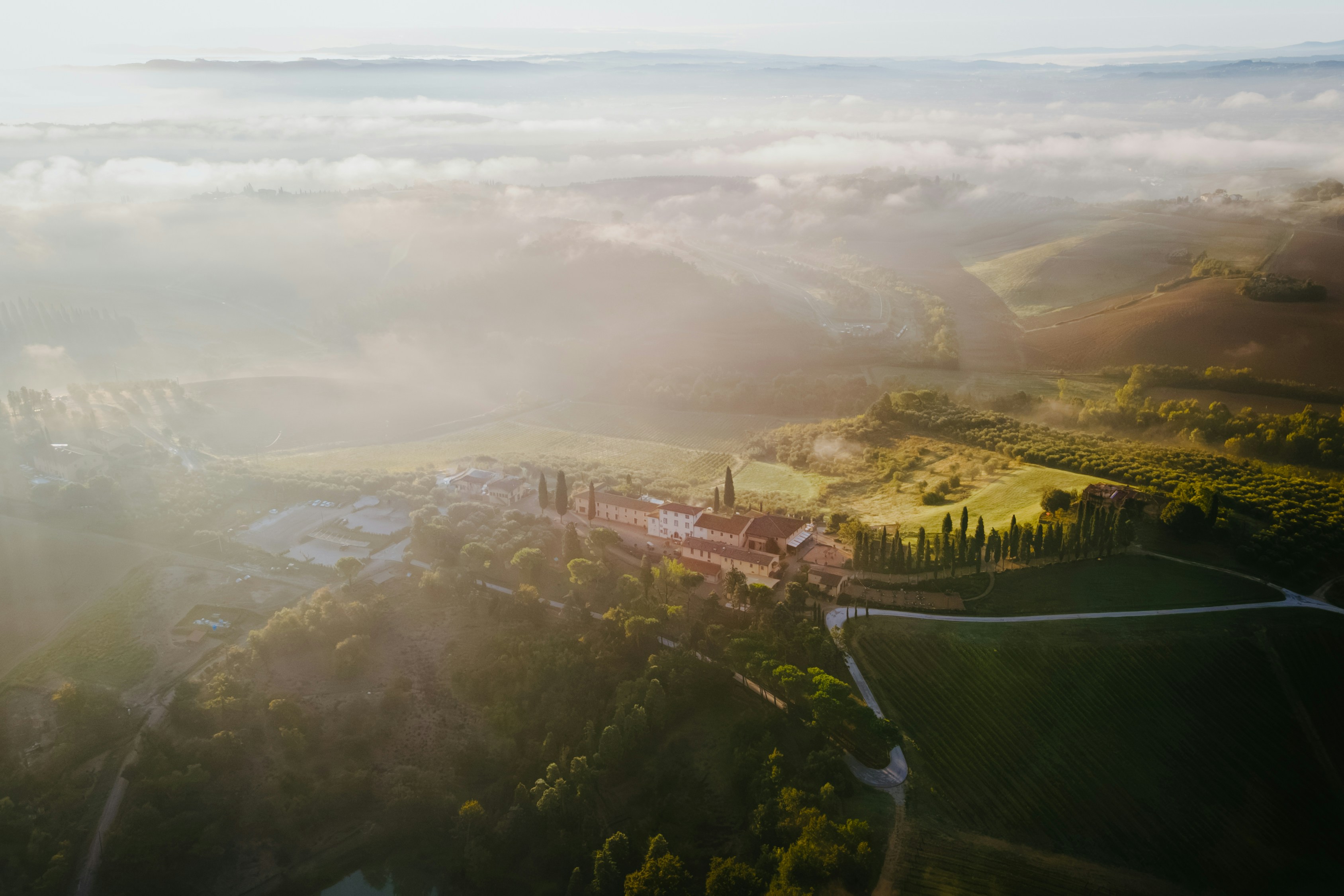 Manhã enevoada sobre colinas e vinhedos