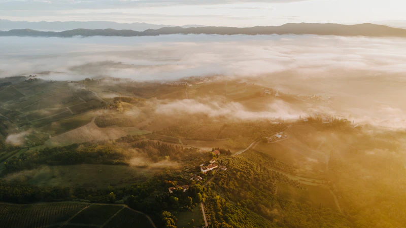 Best Eco-Friendly Resorts and Sustainable Stays in Florence
