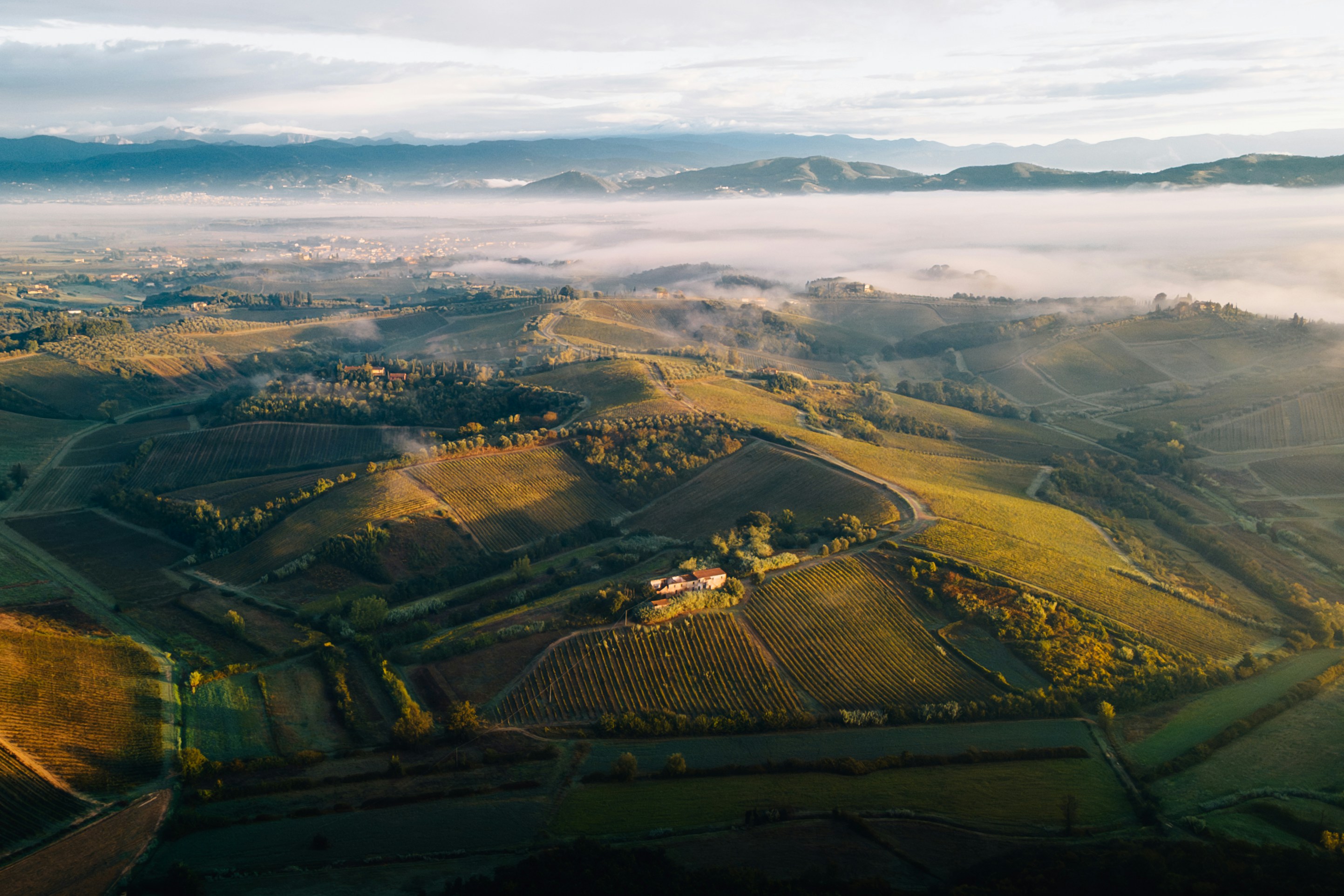 Photo by lifeof_peter_