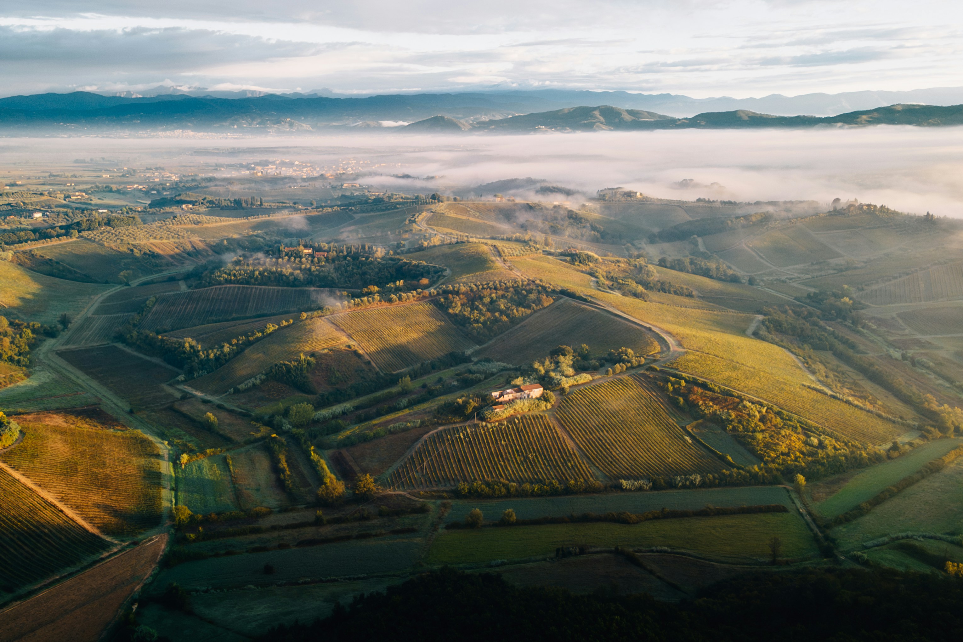 Colinas e vinhedos ao amanhecer com névoa